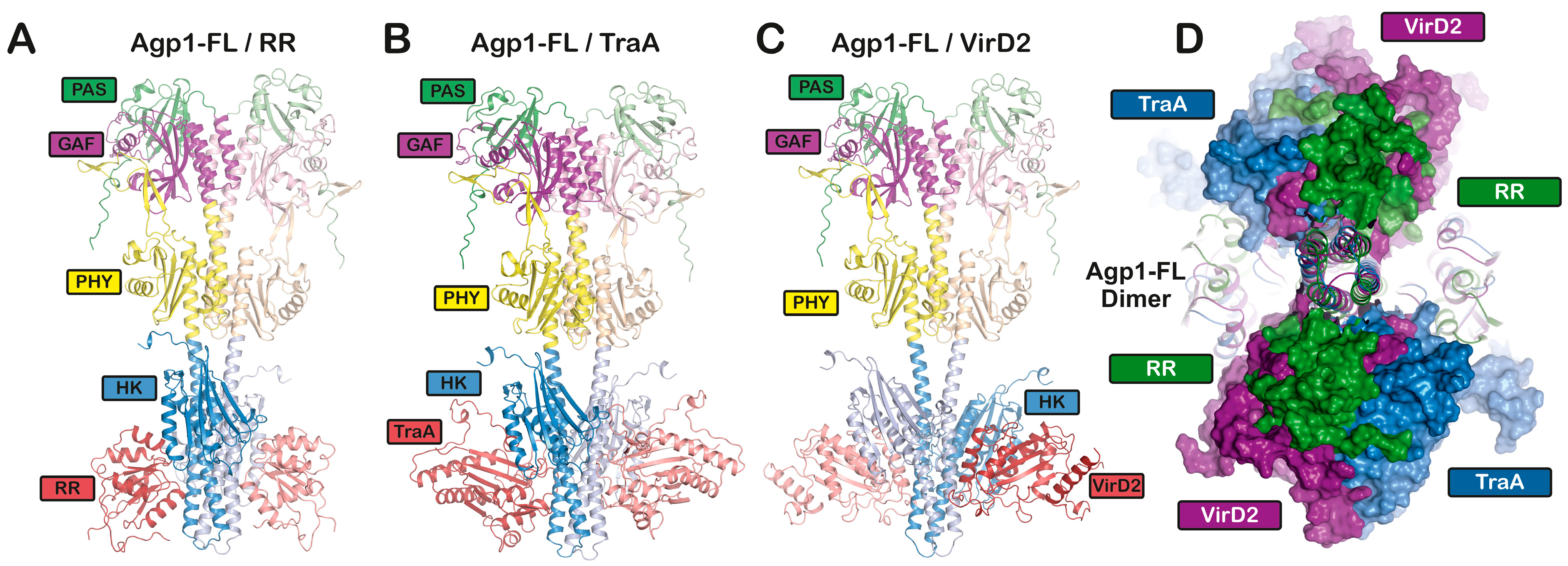 Biomolecules 14 00009 g005 Biomolecules 14 00009 g005