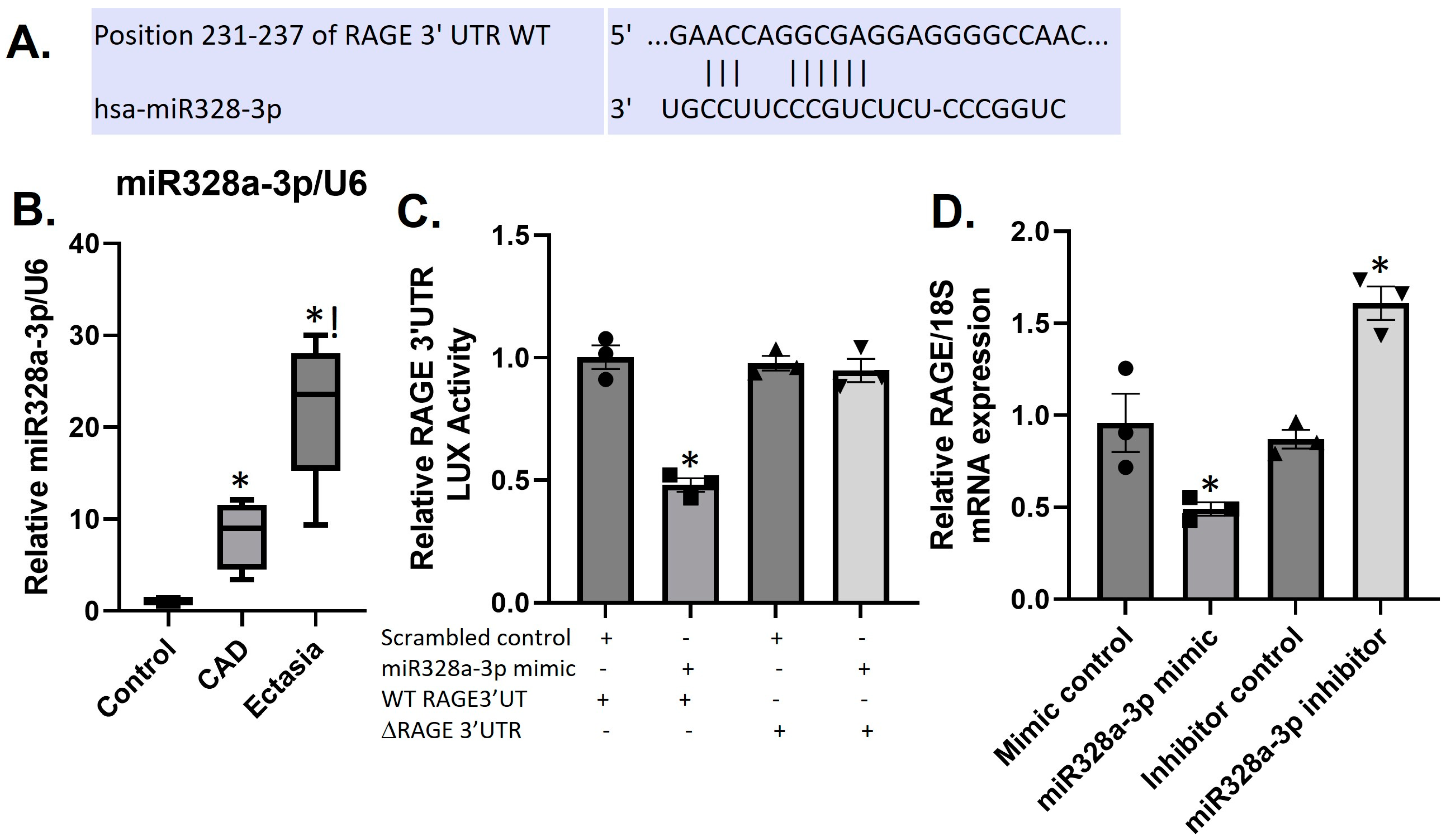 Biomolecules 14 00010 g004