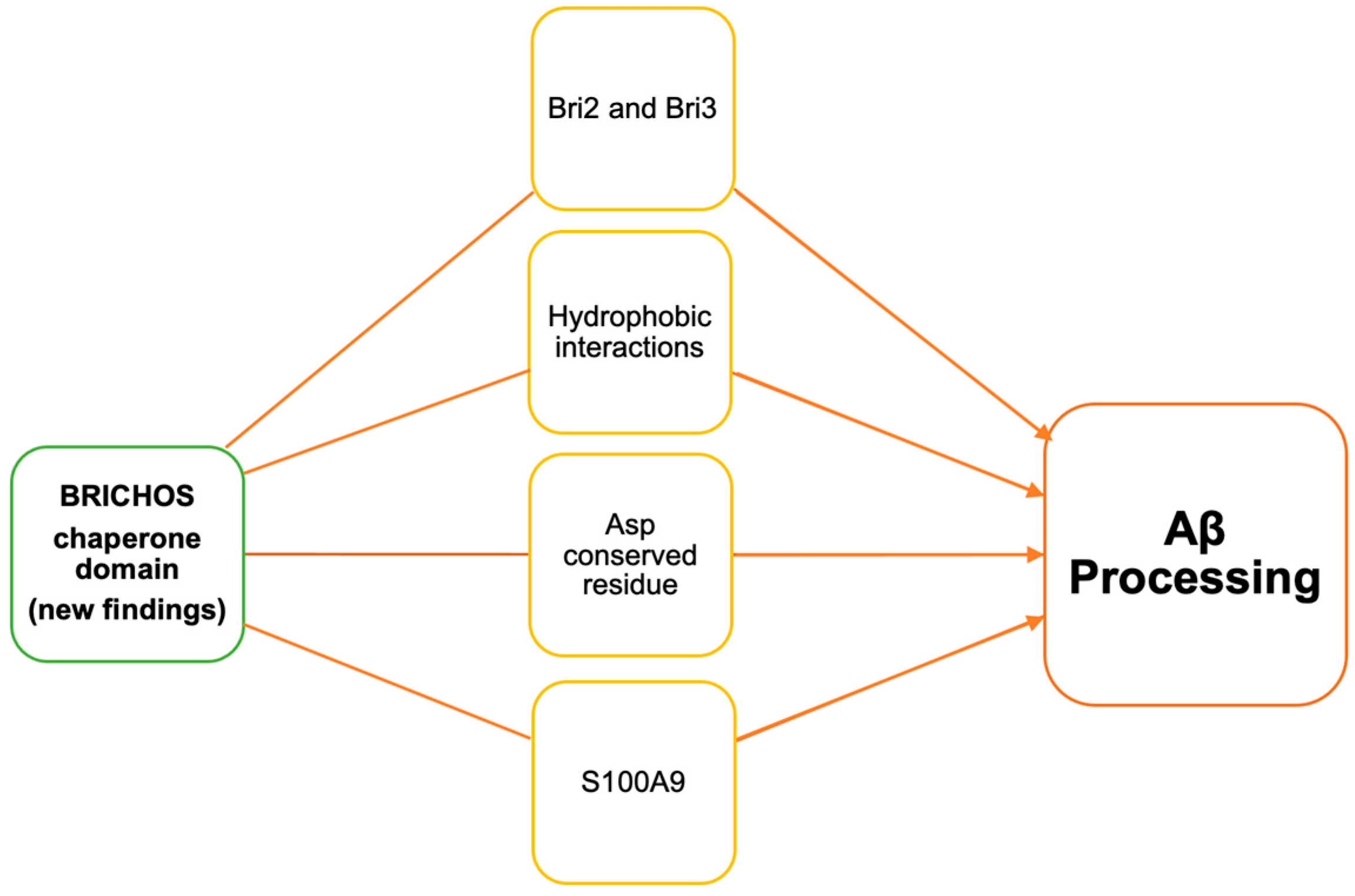 Biomolecules 14 00016 g003