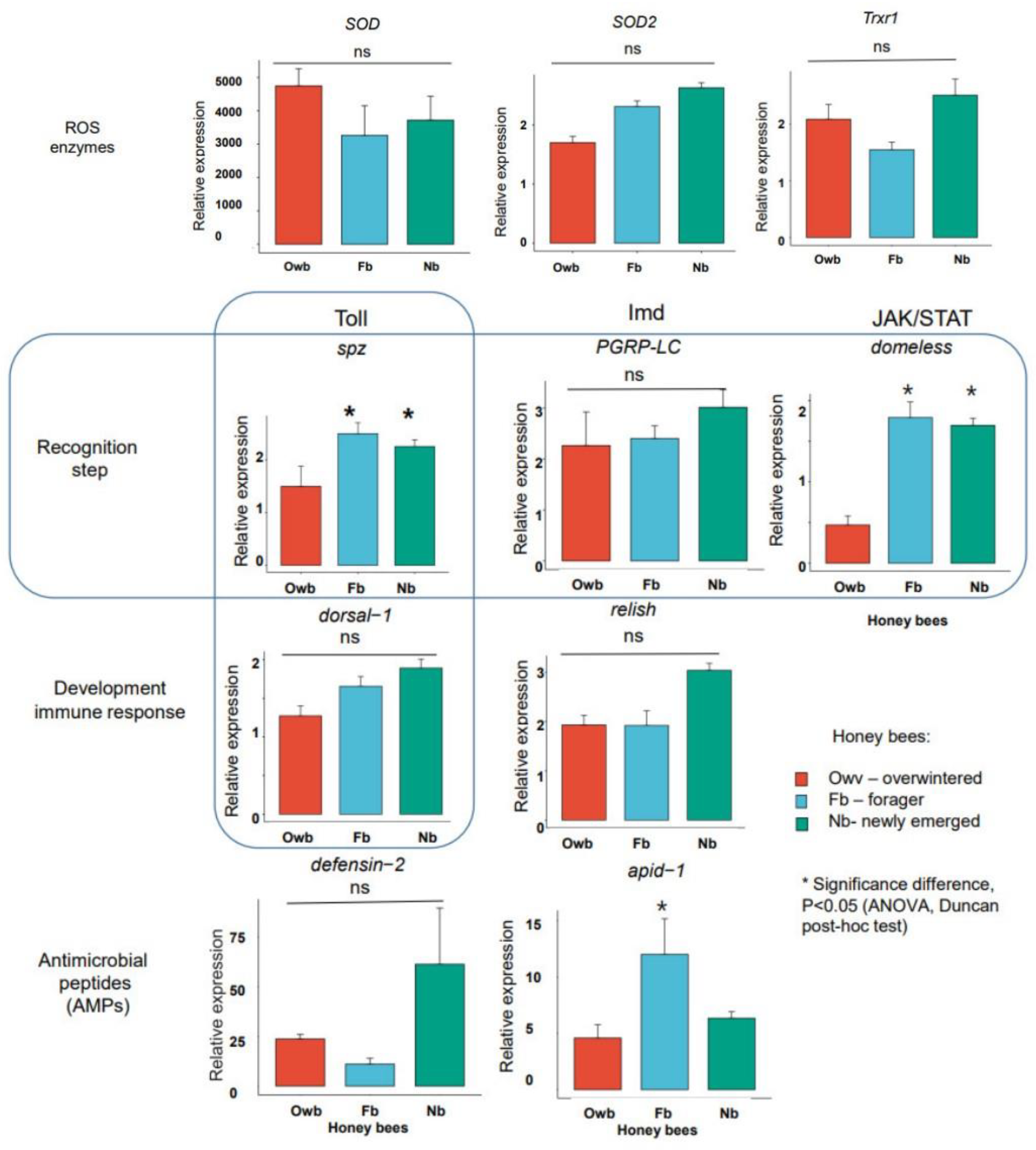 Biomolecules 14 00019 g003