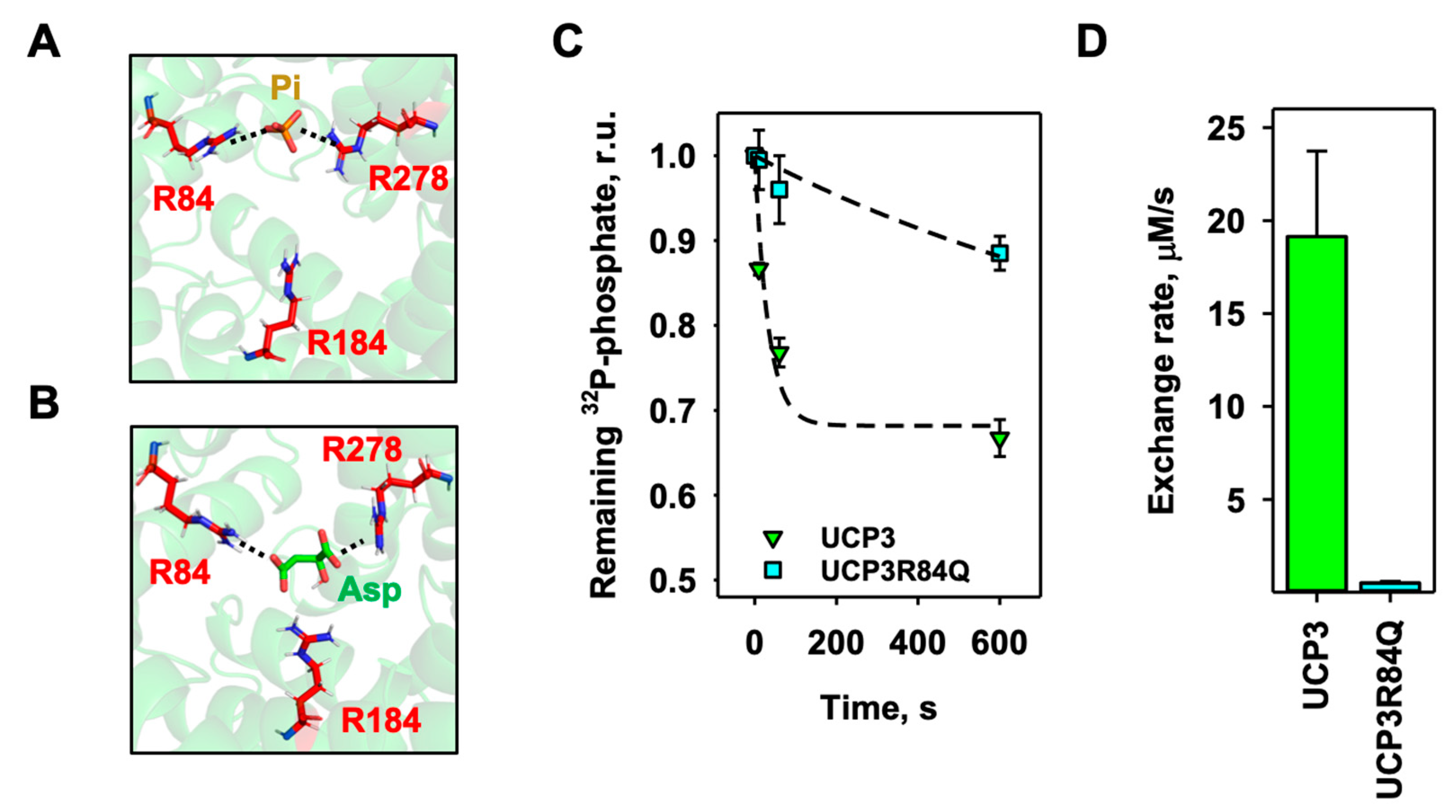 Biomolecules 14 00021 g005