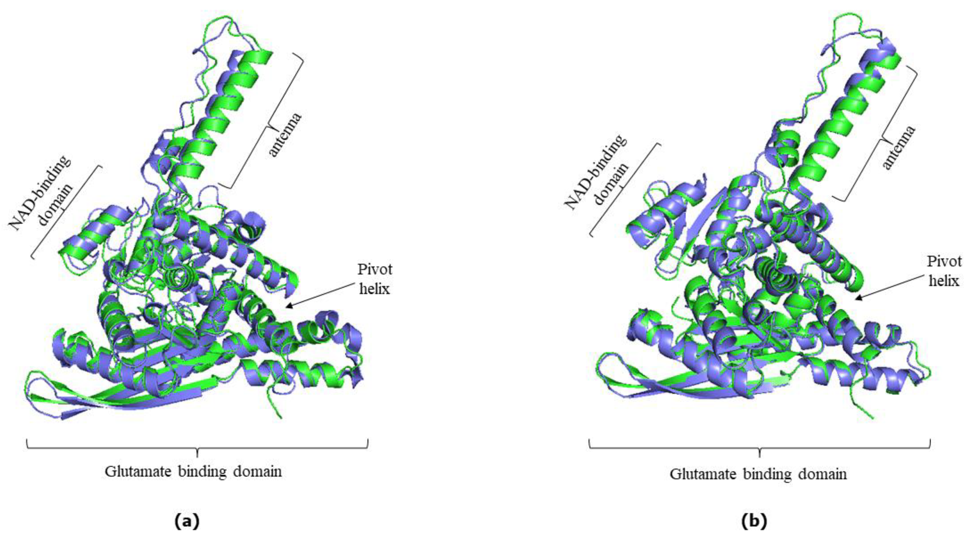 Biomolecules 14 00022 g003