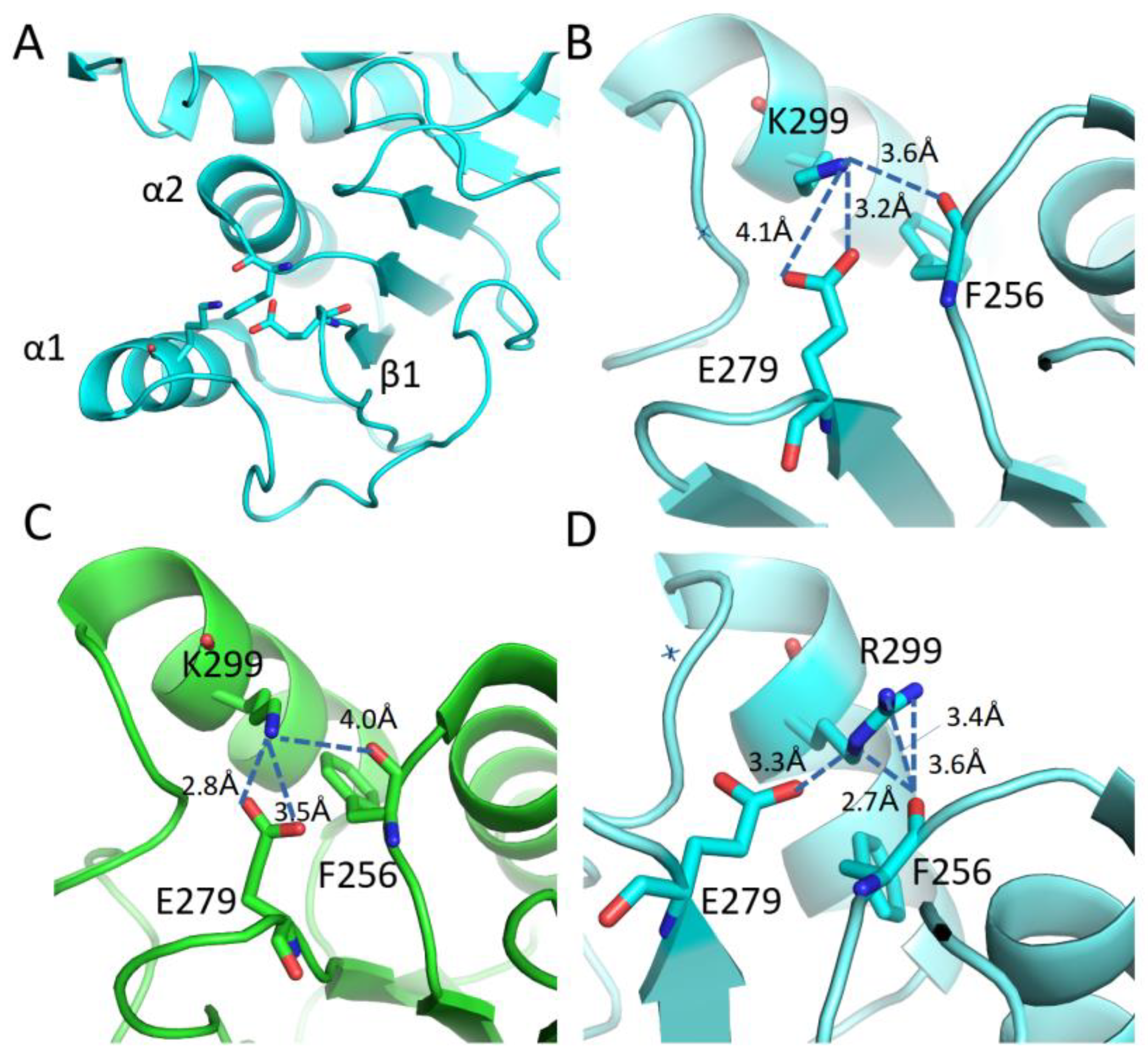 Biomolecules 14 00022 g007