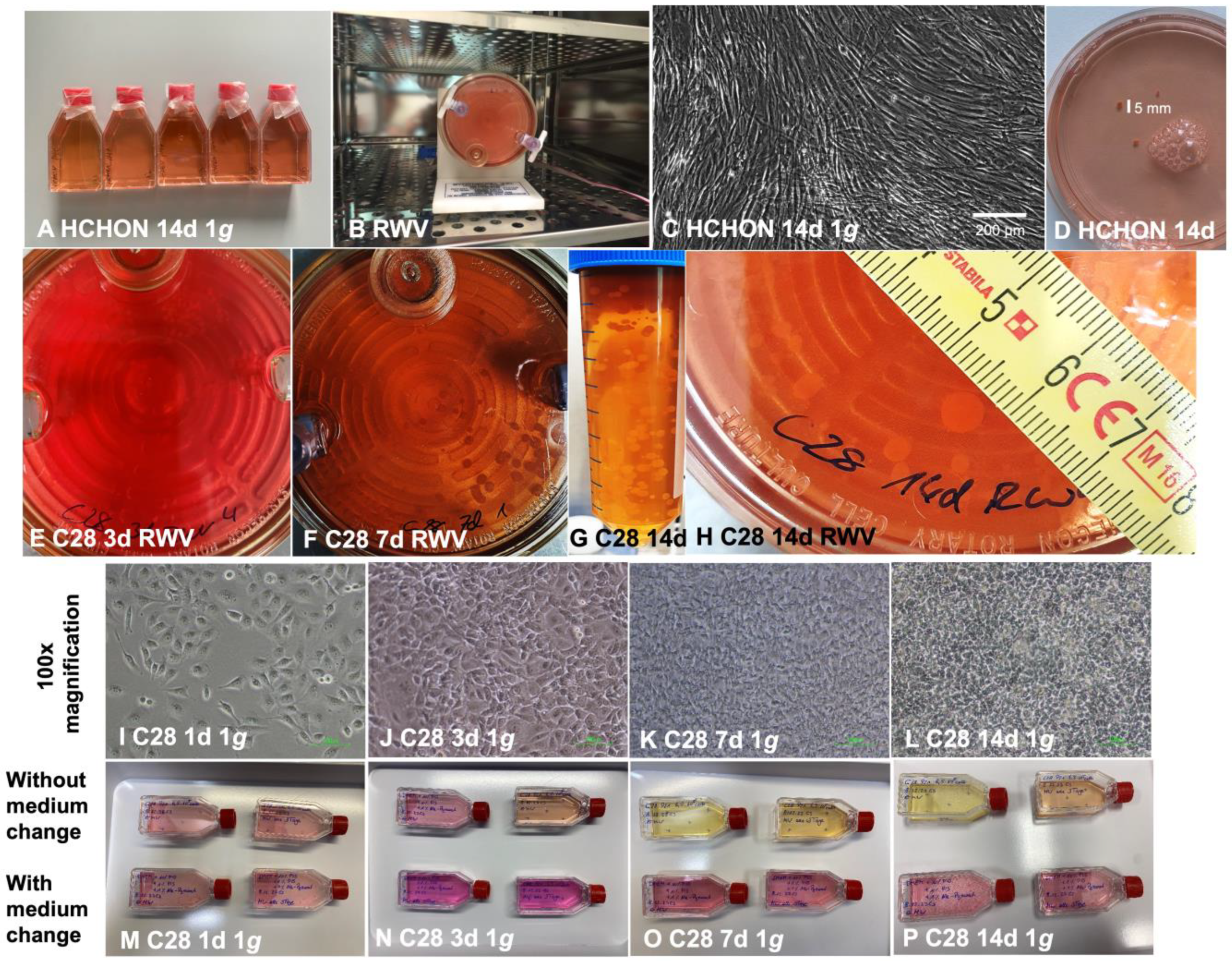 Biomolecules 14 00025 g001