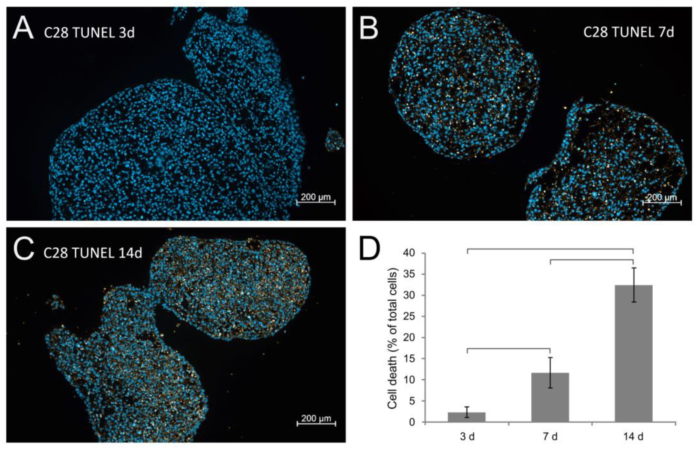 Biomolecules 14 00025 g004