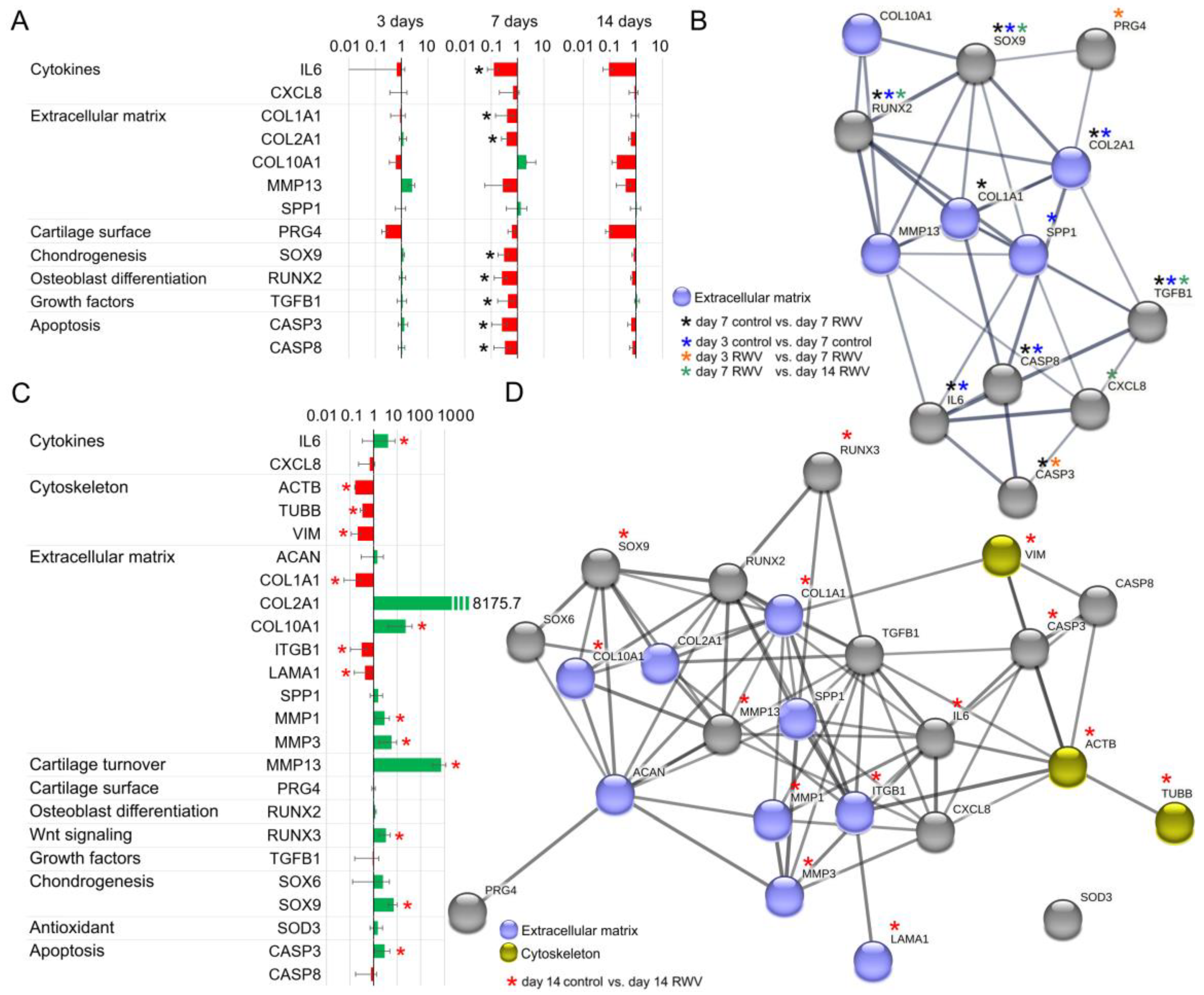 Biomolecules 14 00025 g007