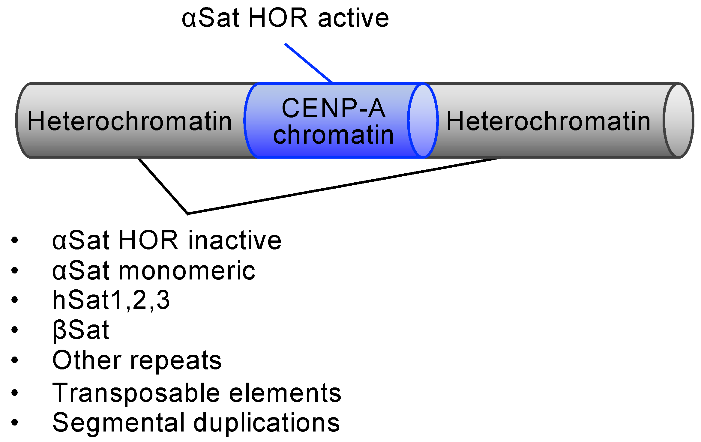 Biomolecules 14 00028 g001