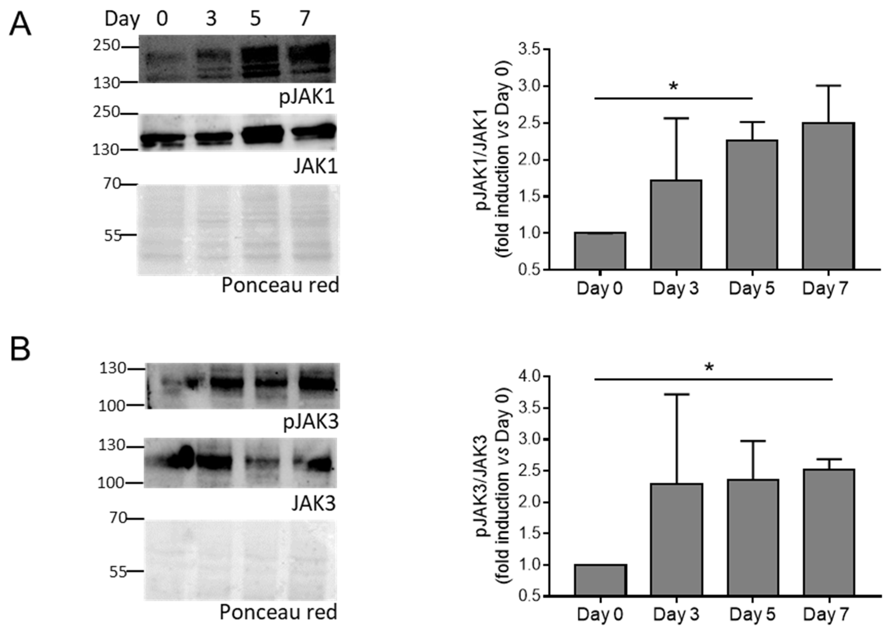 Biomolecules 14 00029 g002