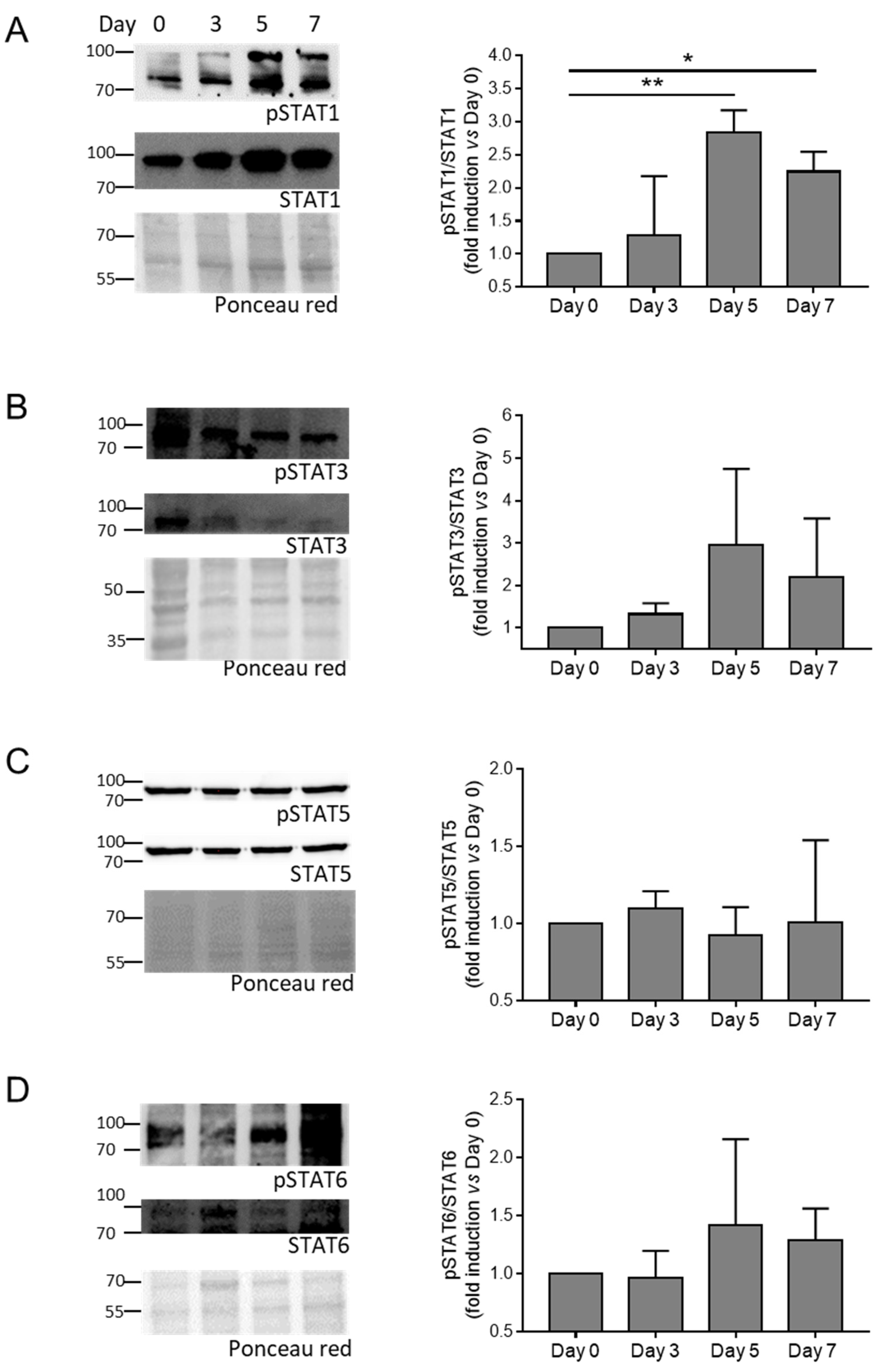 Biomolecules 14 00029 g003