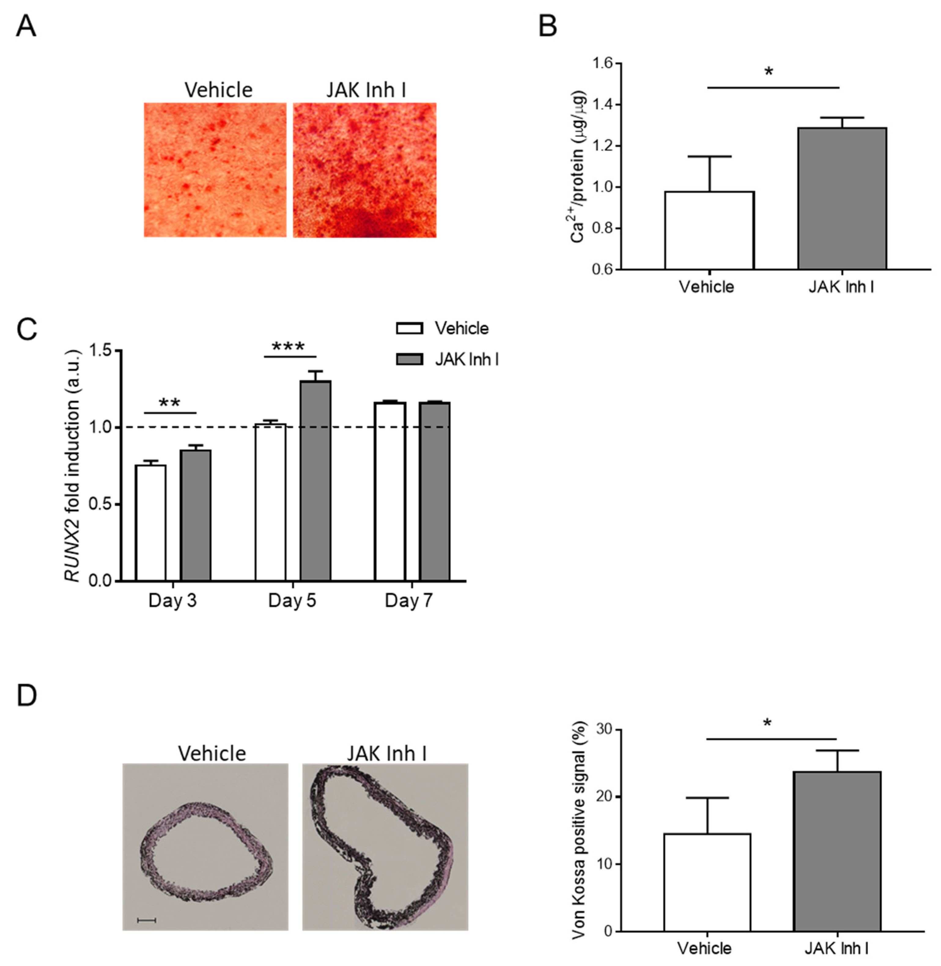 Biomolecules 14 00029 g006