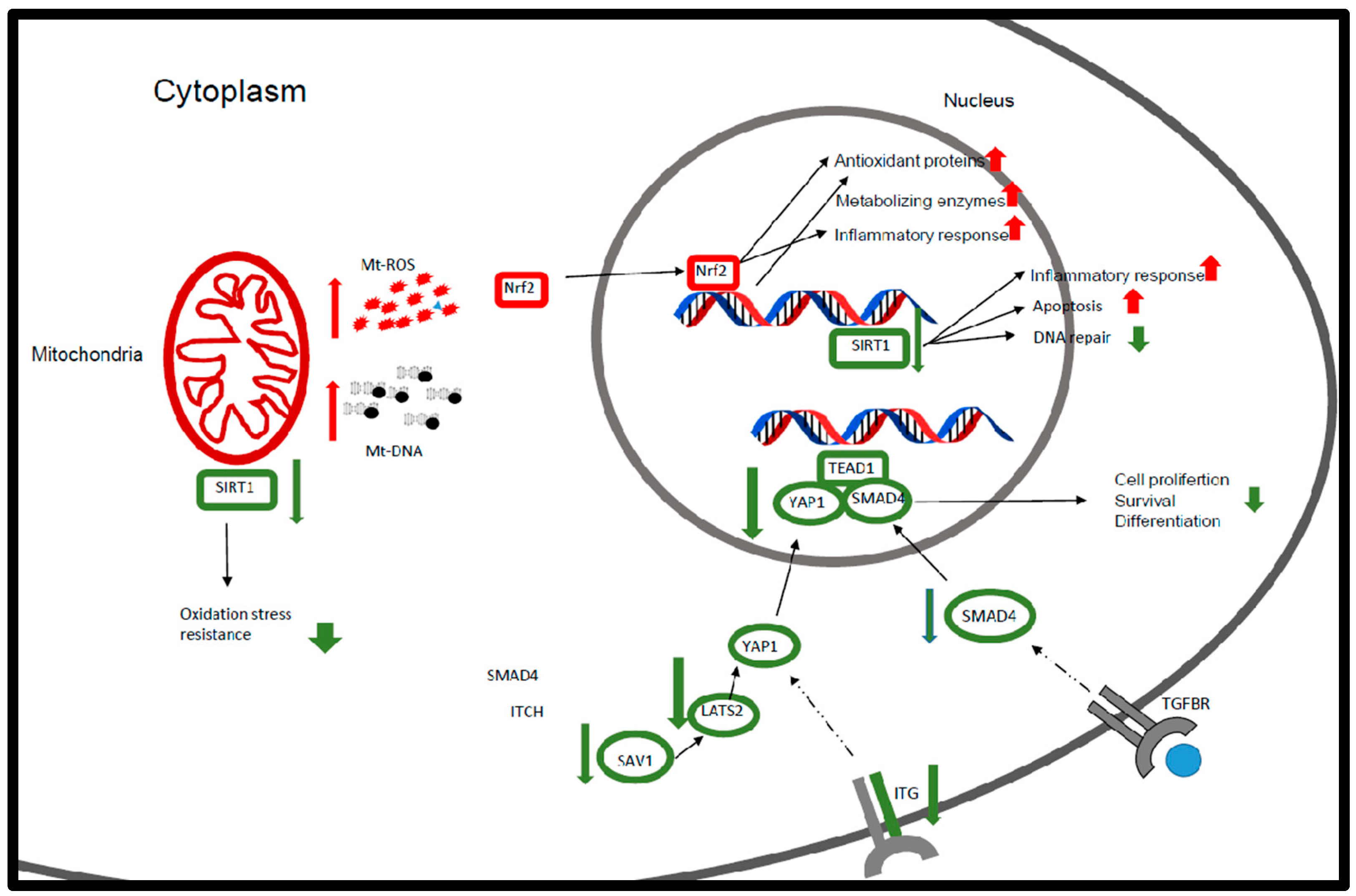 Biomolecules 14 00030 g004