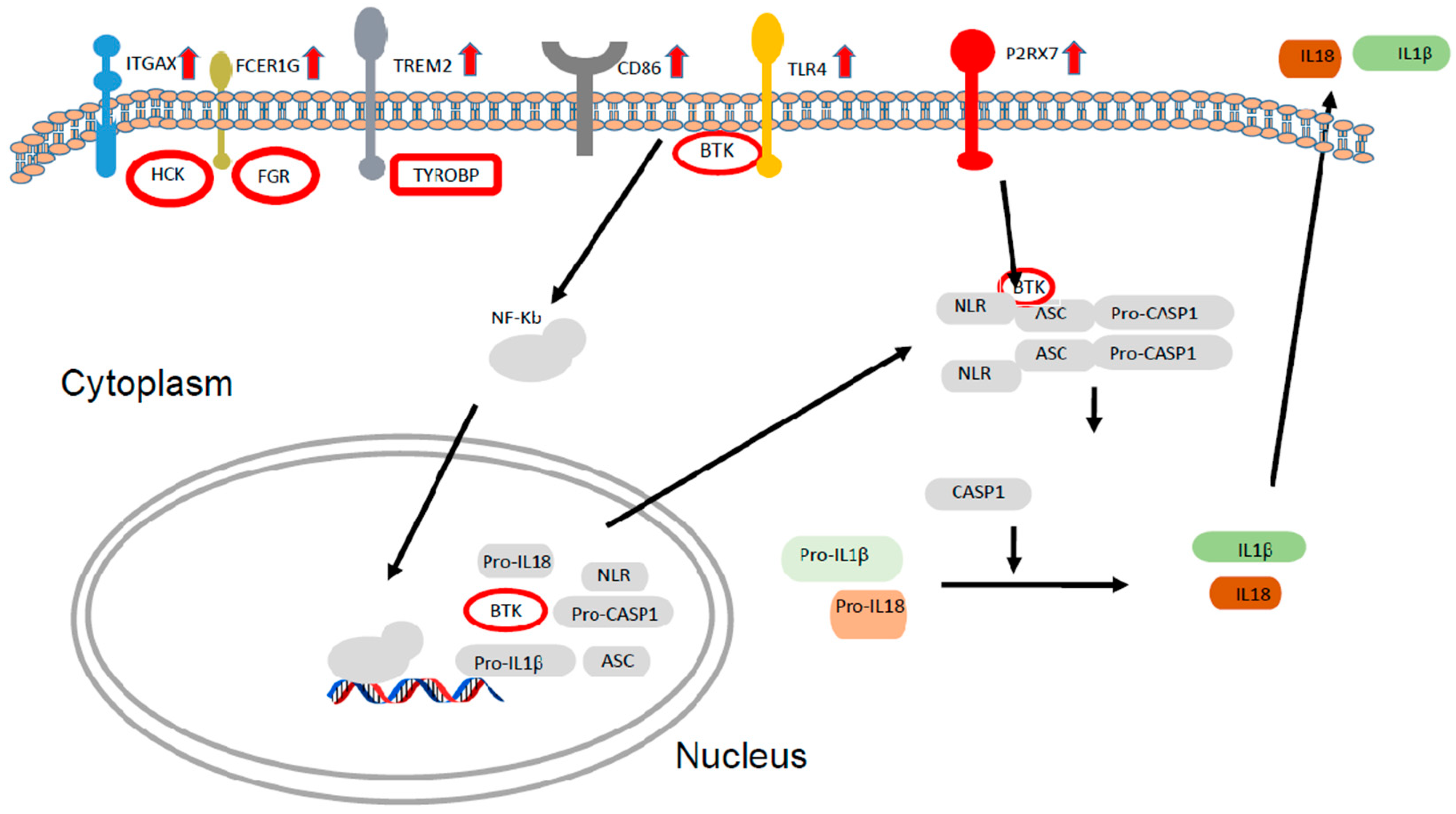 Biomolecules 14 00030 g005
