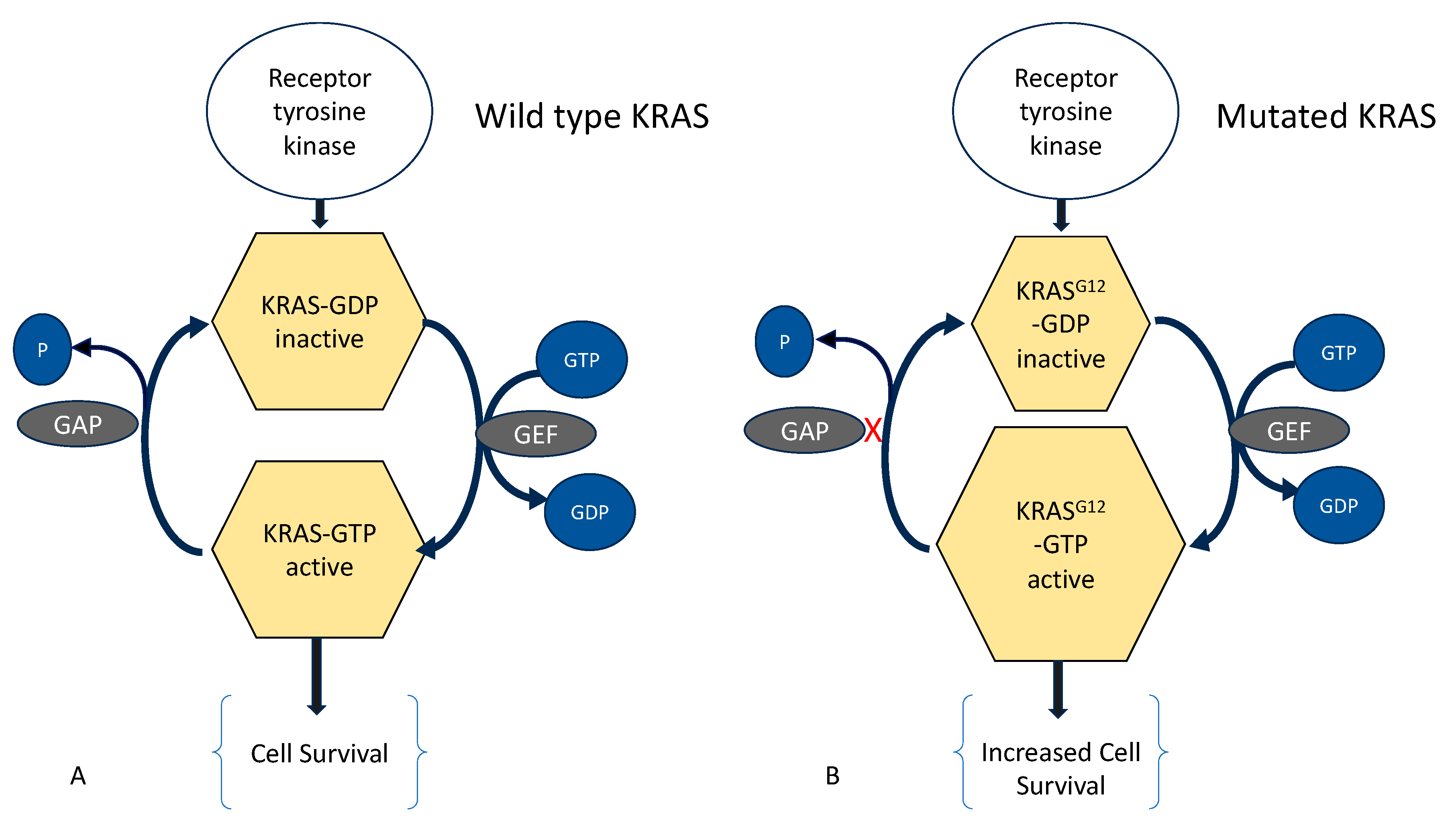 Biomolecules 14 00032 g001 Biomolecules 14 00032 g001
