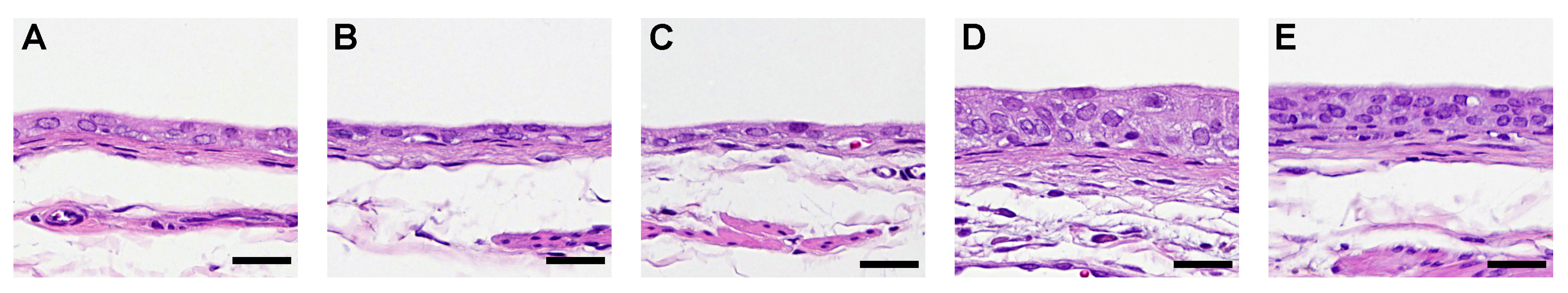 Biomolecules 14 00036 g001 Biomolecules 14 00036 g001