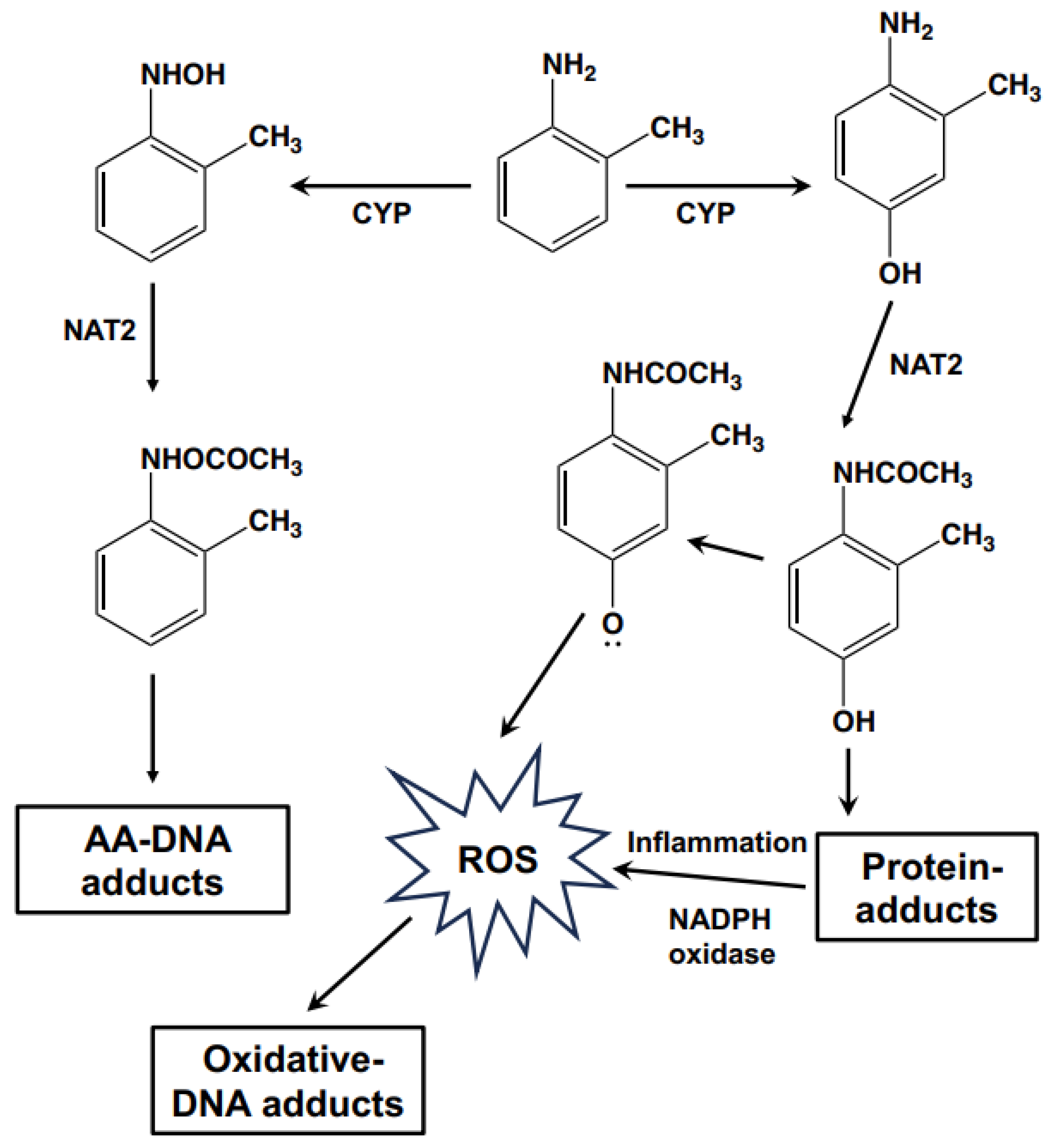 Biomolecules 14 00036 g006 Biomolecules 14 00036 g006