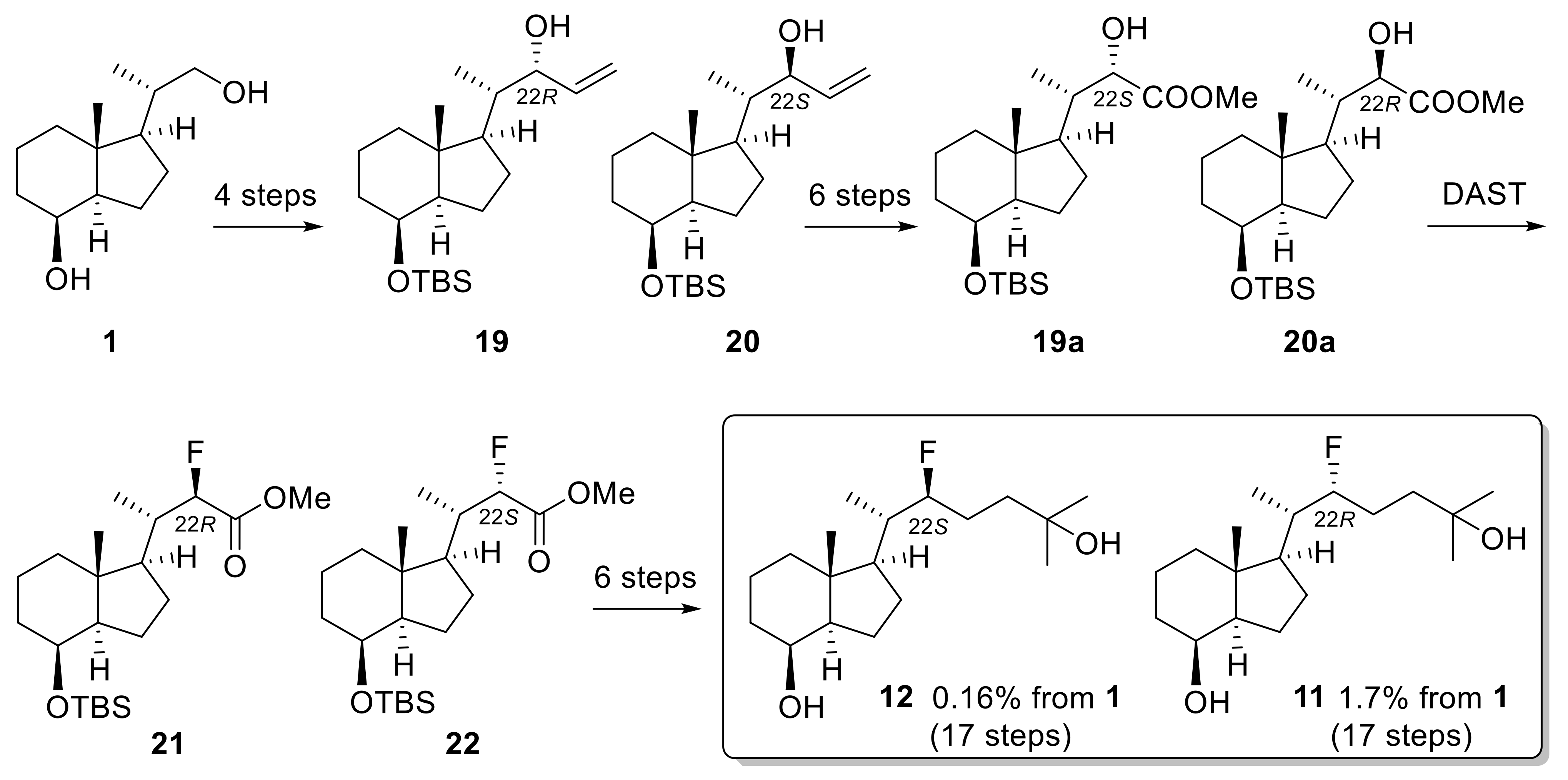 Biomolecules 14 00037 sch003 Biomolecules 14 00037 sch003