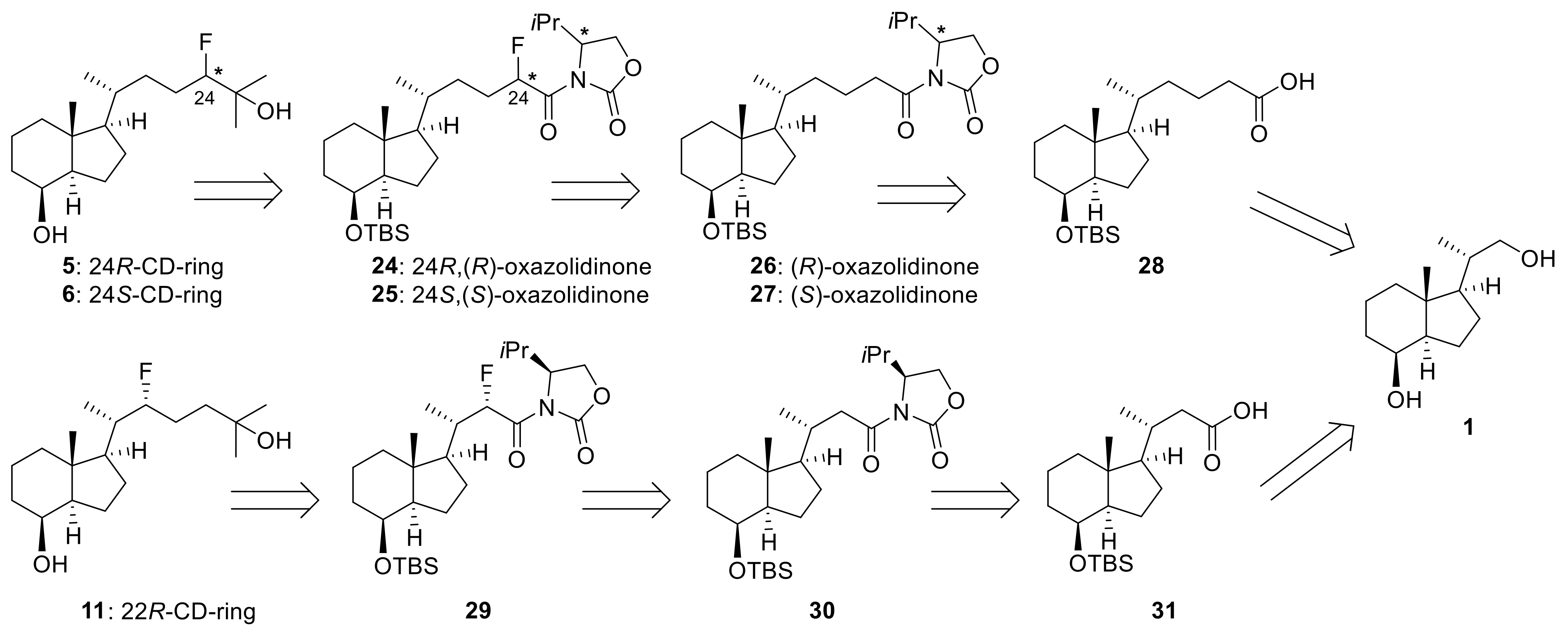 Biomolecules 14 00037 sch005 Biomolecules 14 00037 sch005