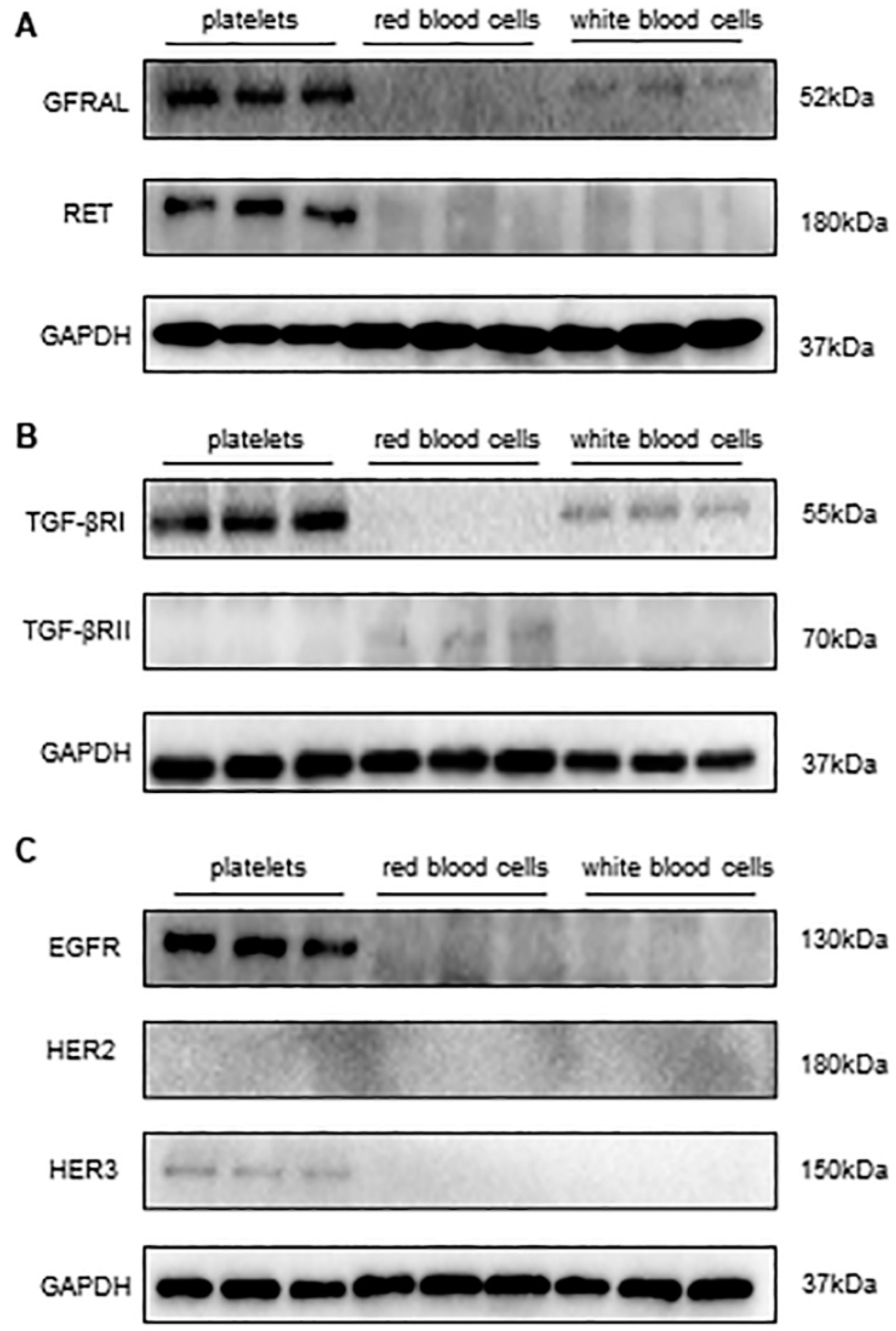 Biomolecules 14 00038 g002