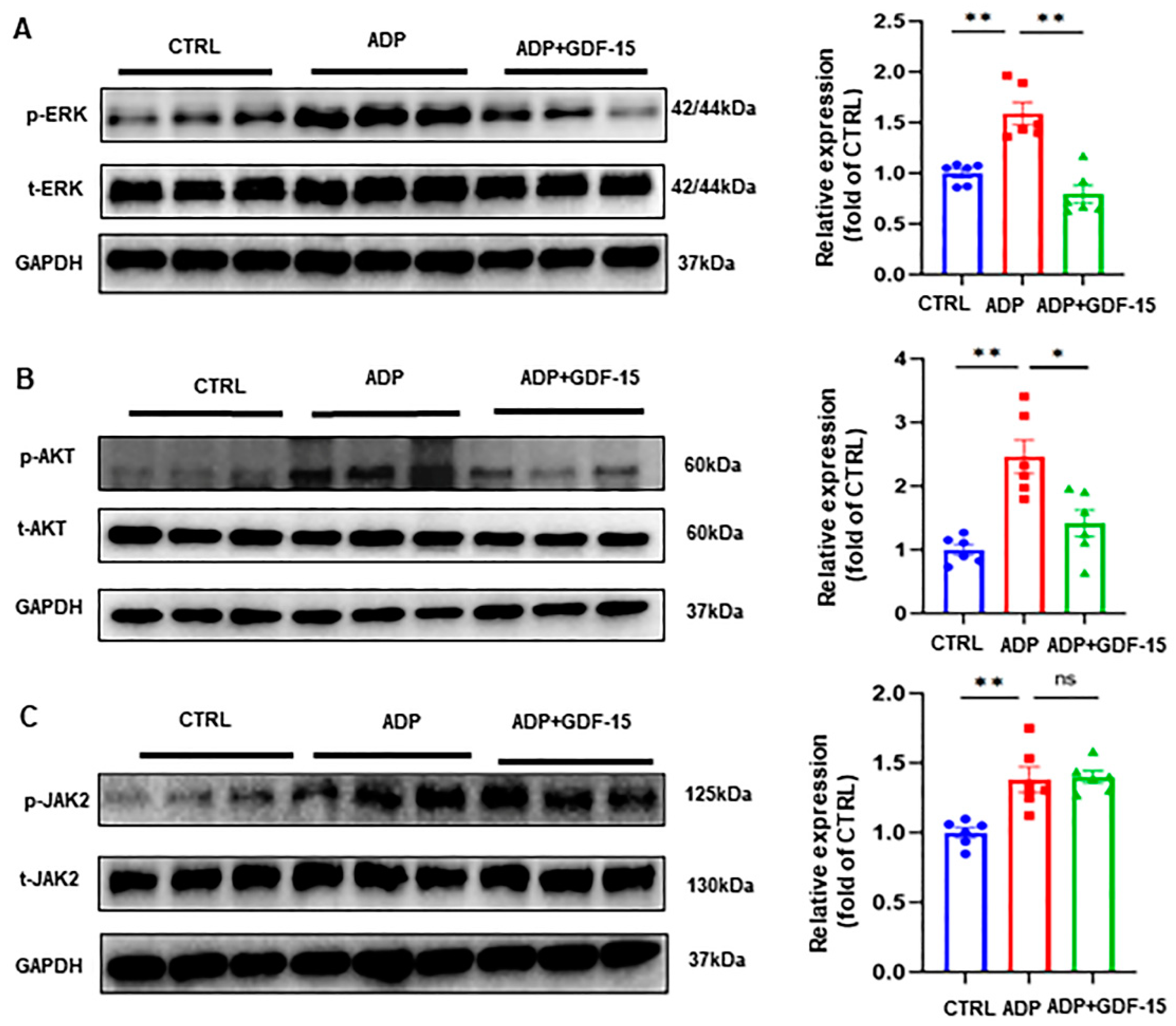 Biomolecules 14 00038 g004