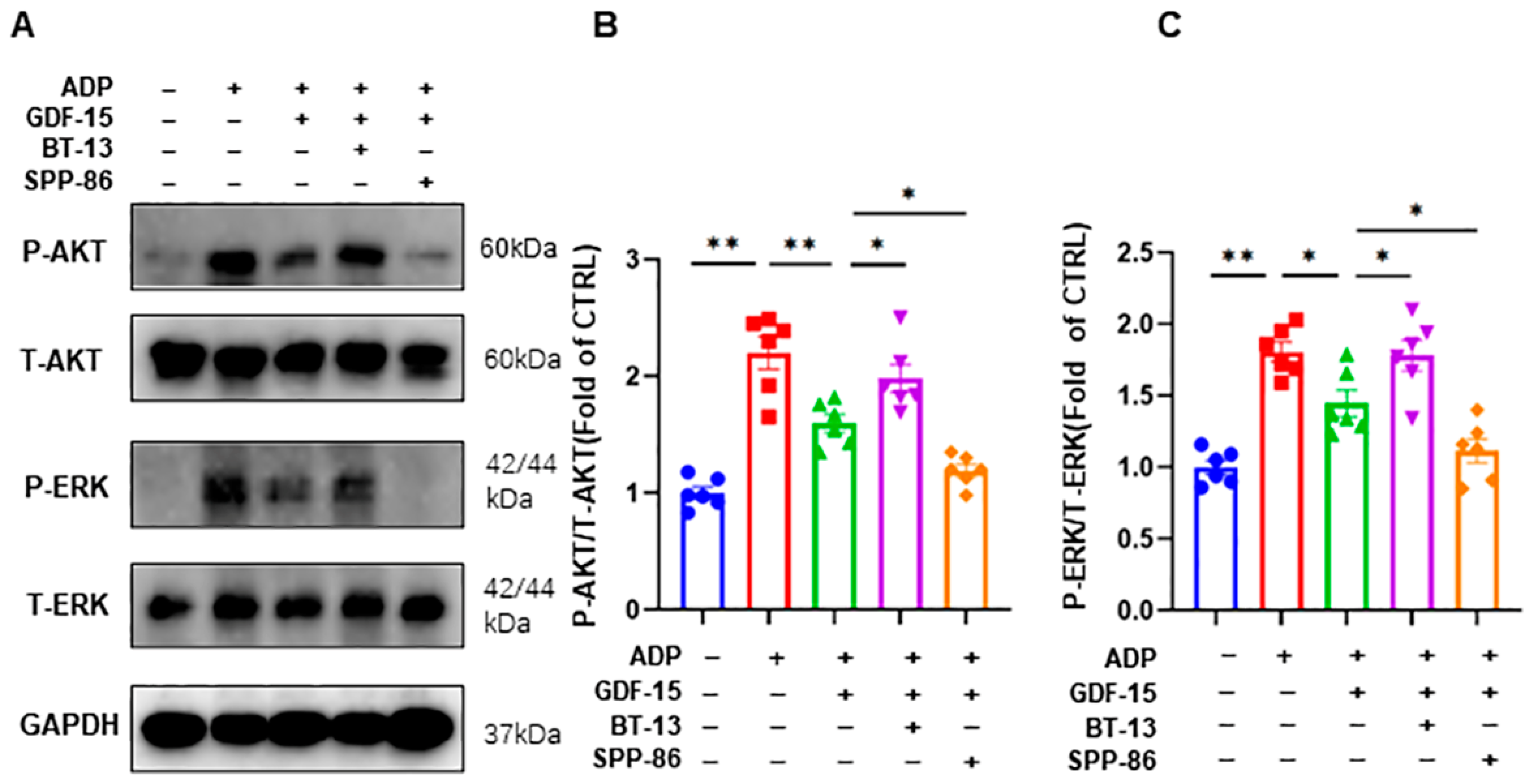 Biomolecules 14 00038 g005