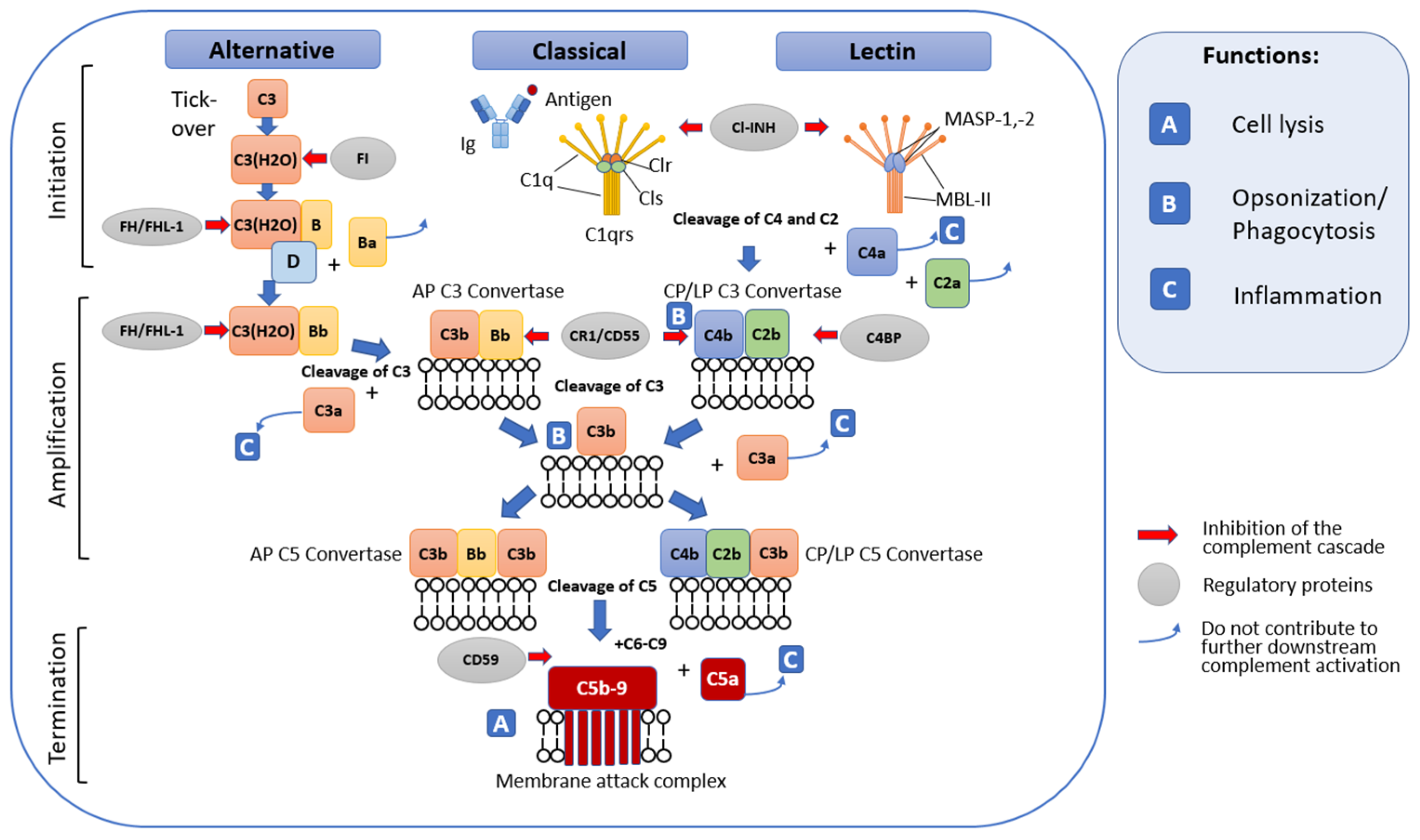 Biomolecules 14 00039 g001 Biomolecules 14 00039 g001