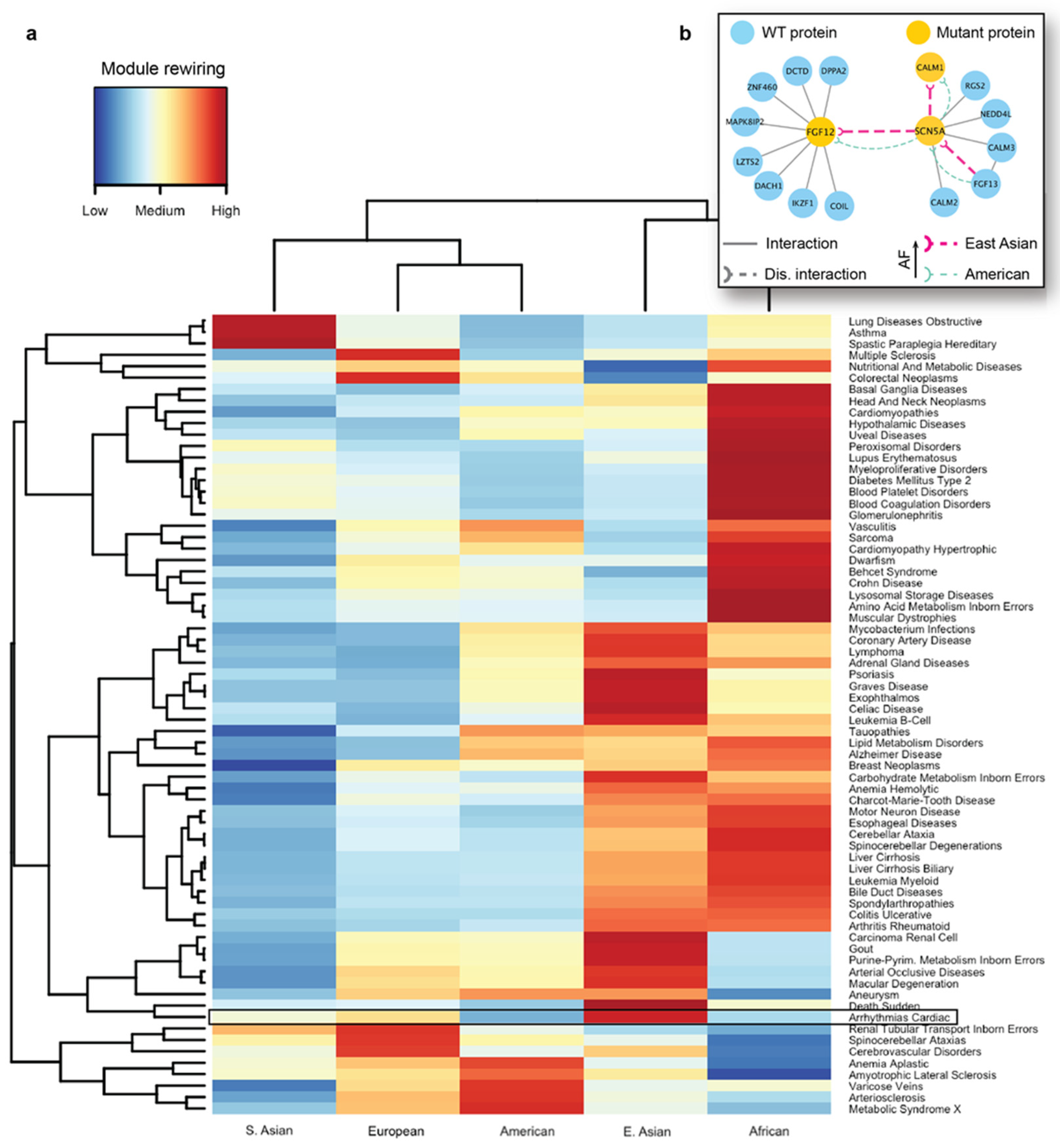 Biomolecules 14 00040 g005