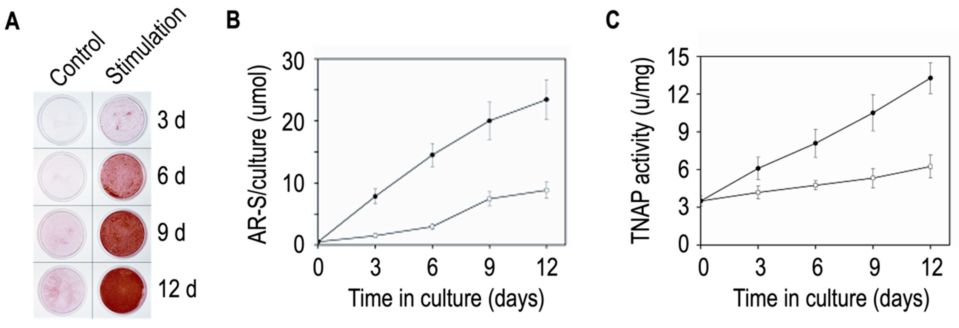 Biomolecules 14 00042 g005