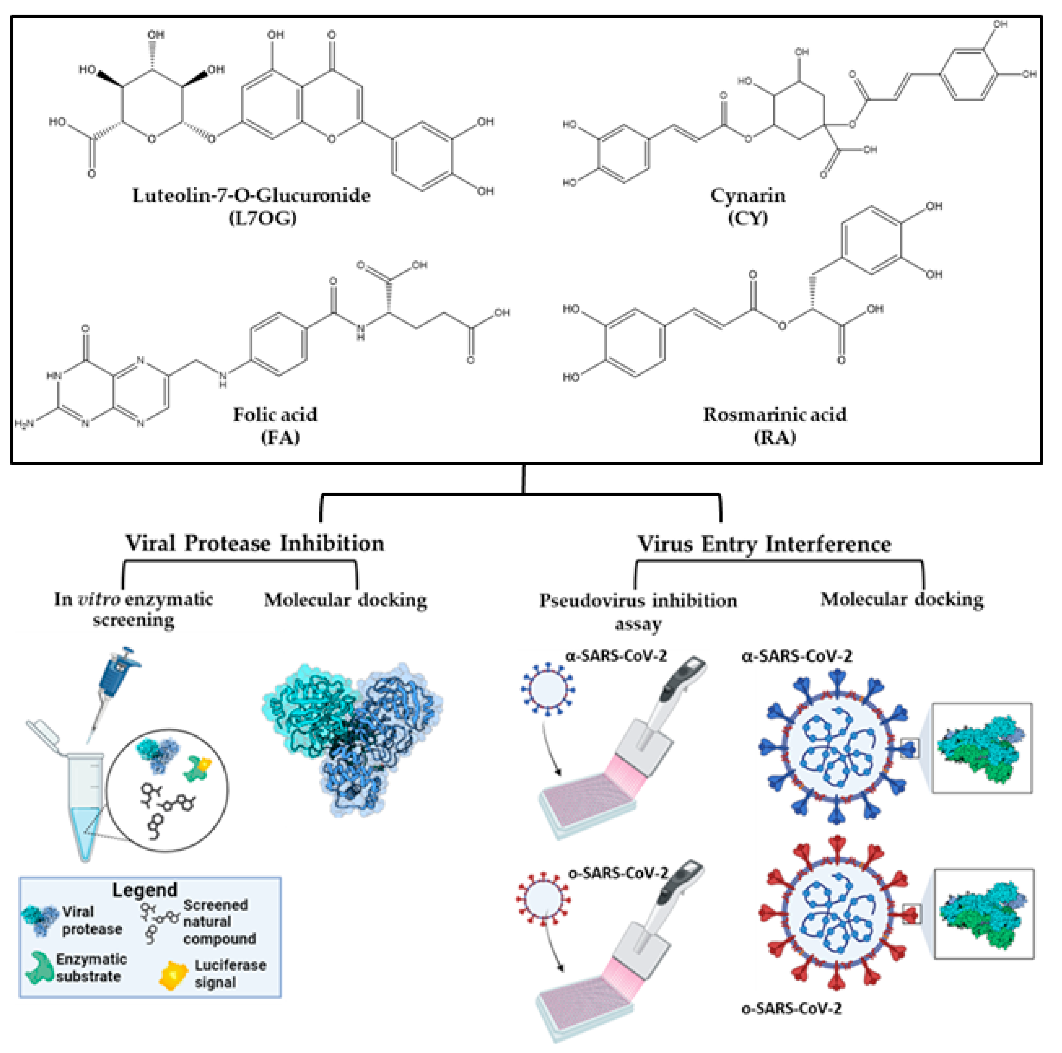 Biomolecules 14 00043 g001