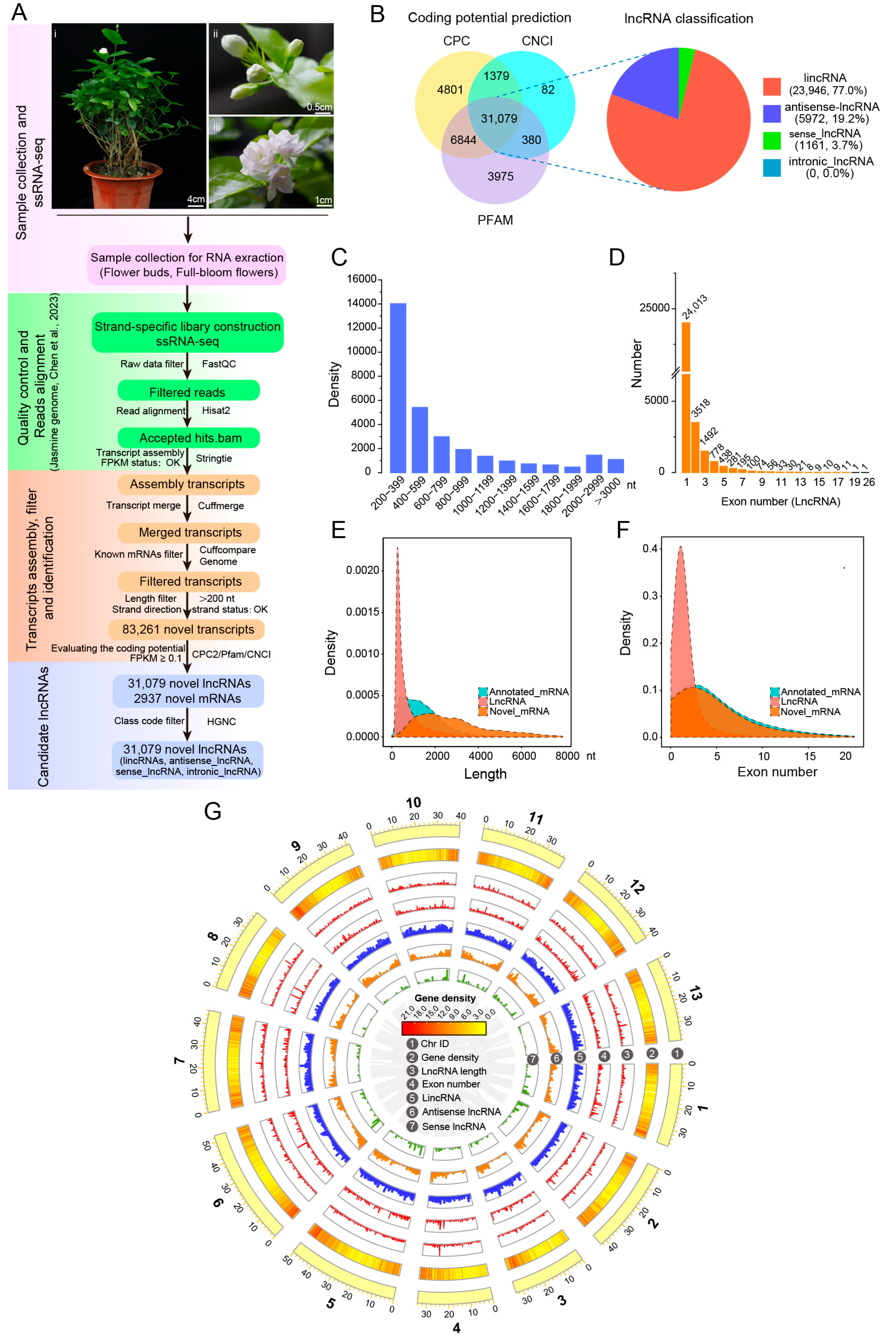 Biomolecules 14 00045 g002