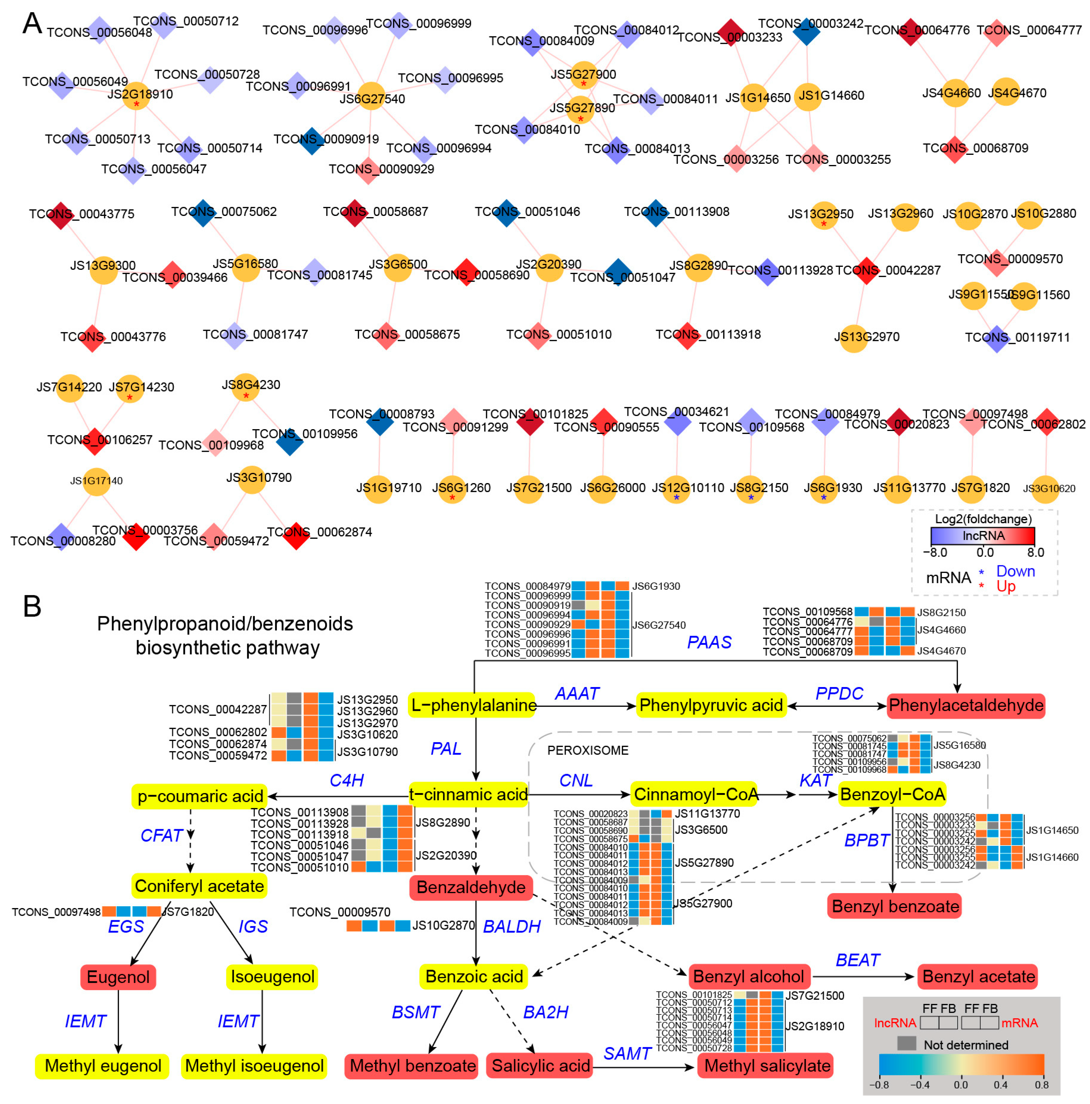 Biomolecules 14 00045 g006