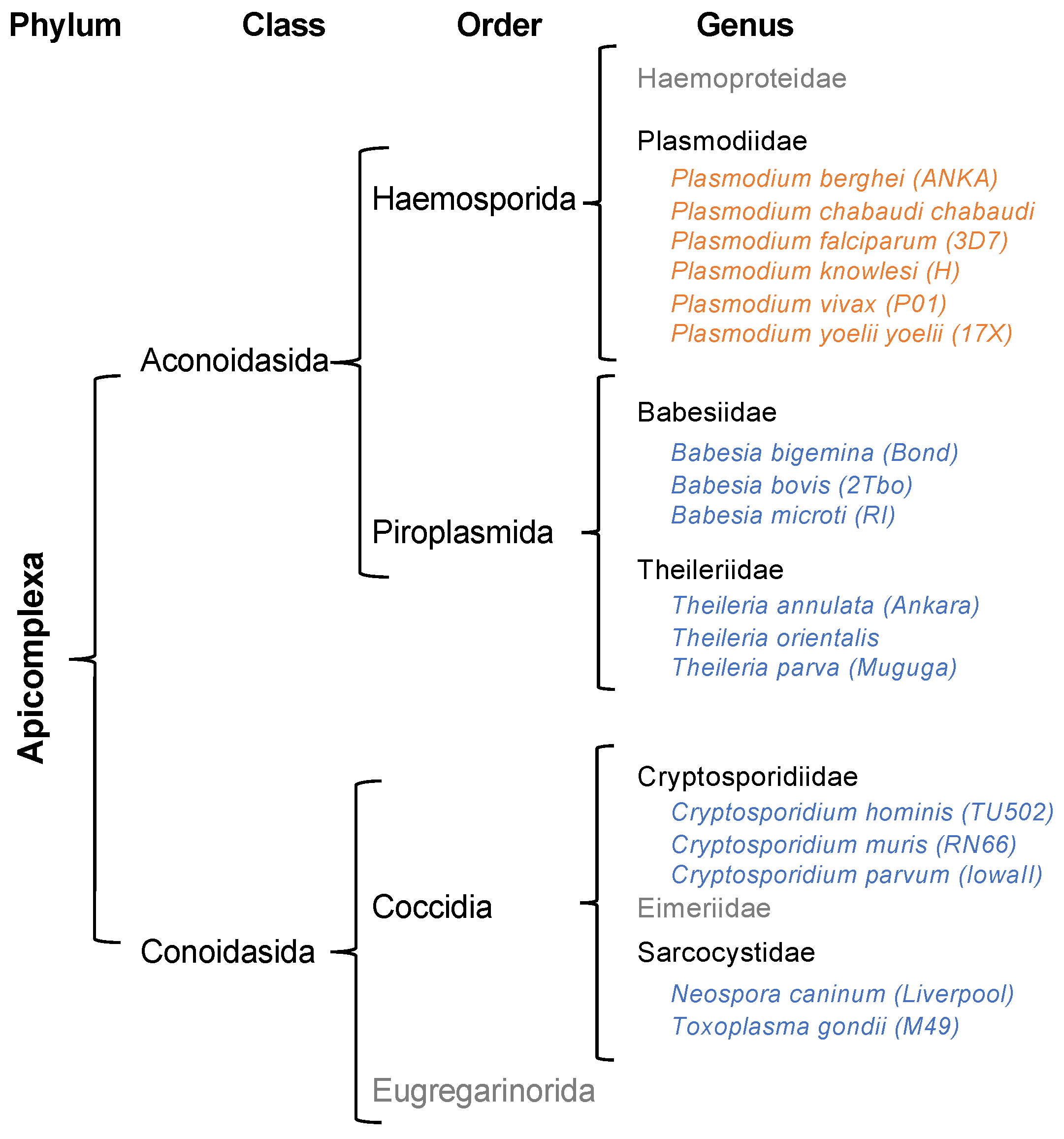 Biomolecules 14 00046 g001
