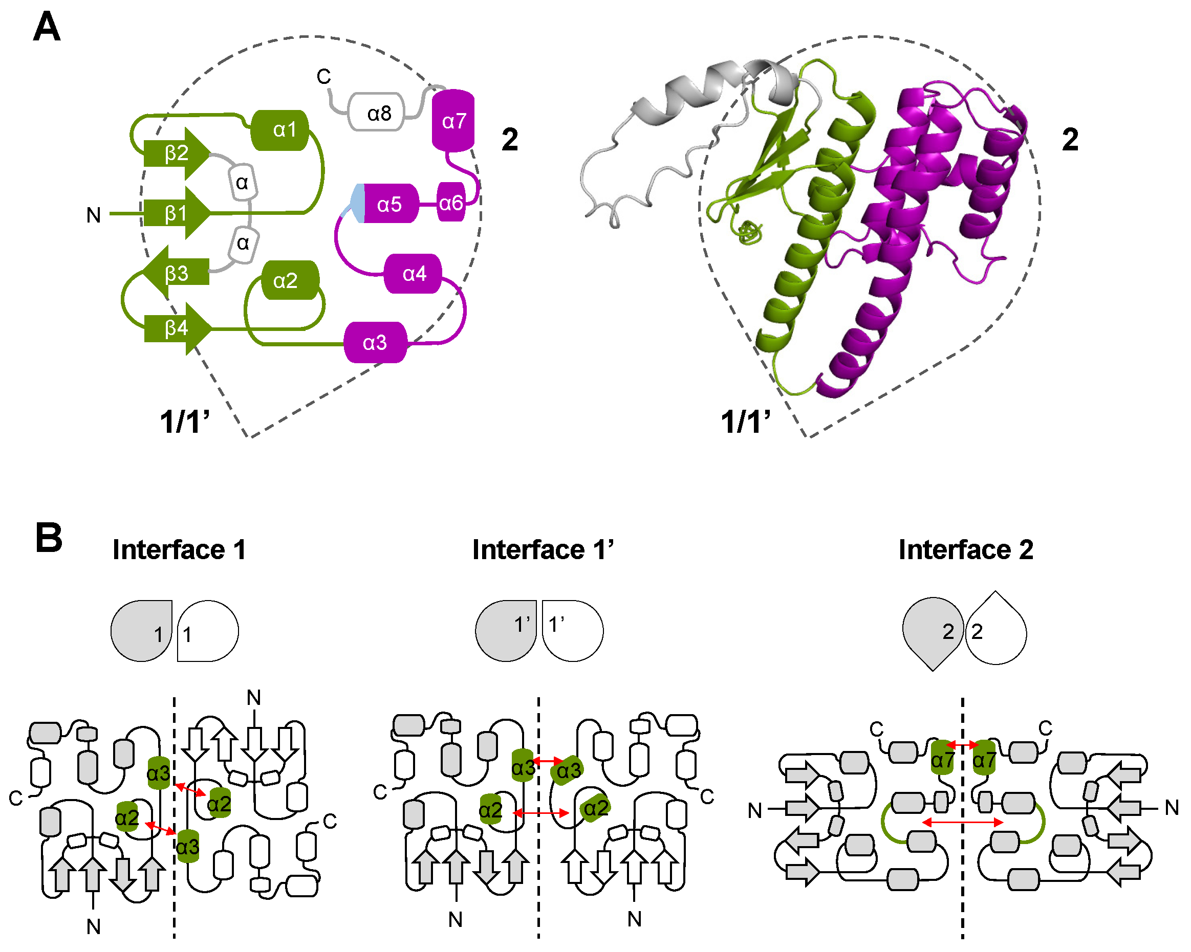 Biomolecules 14 00046 g003