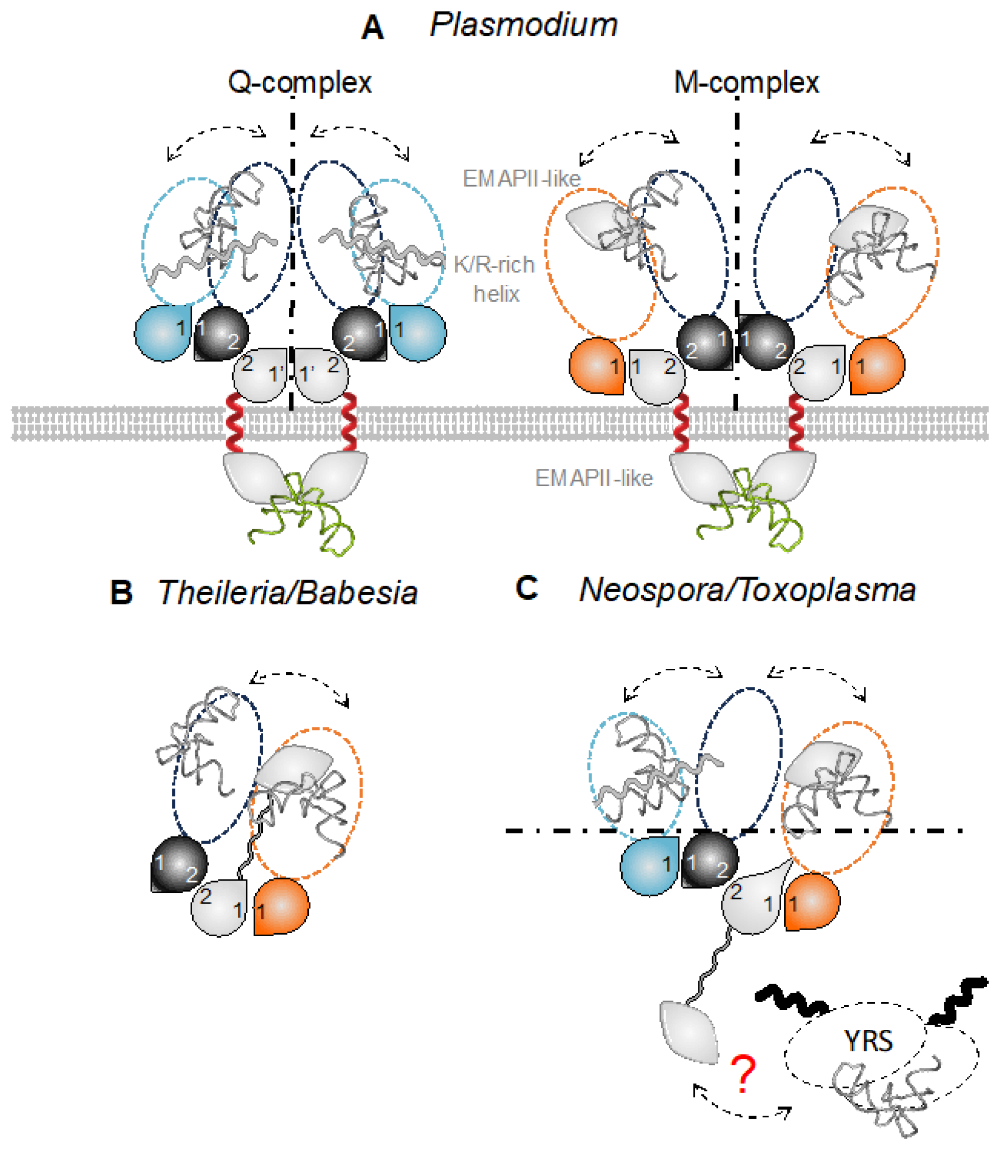Biomolecules 14 00046 g005