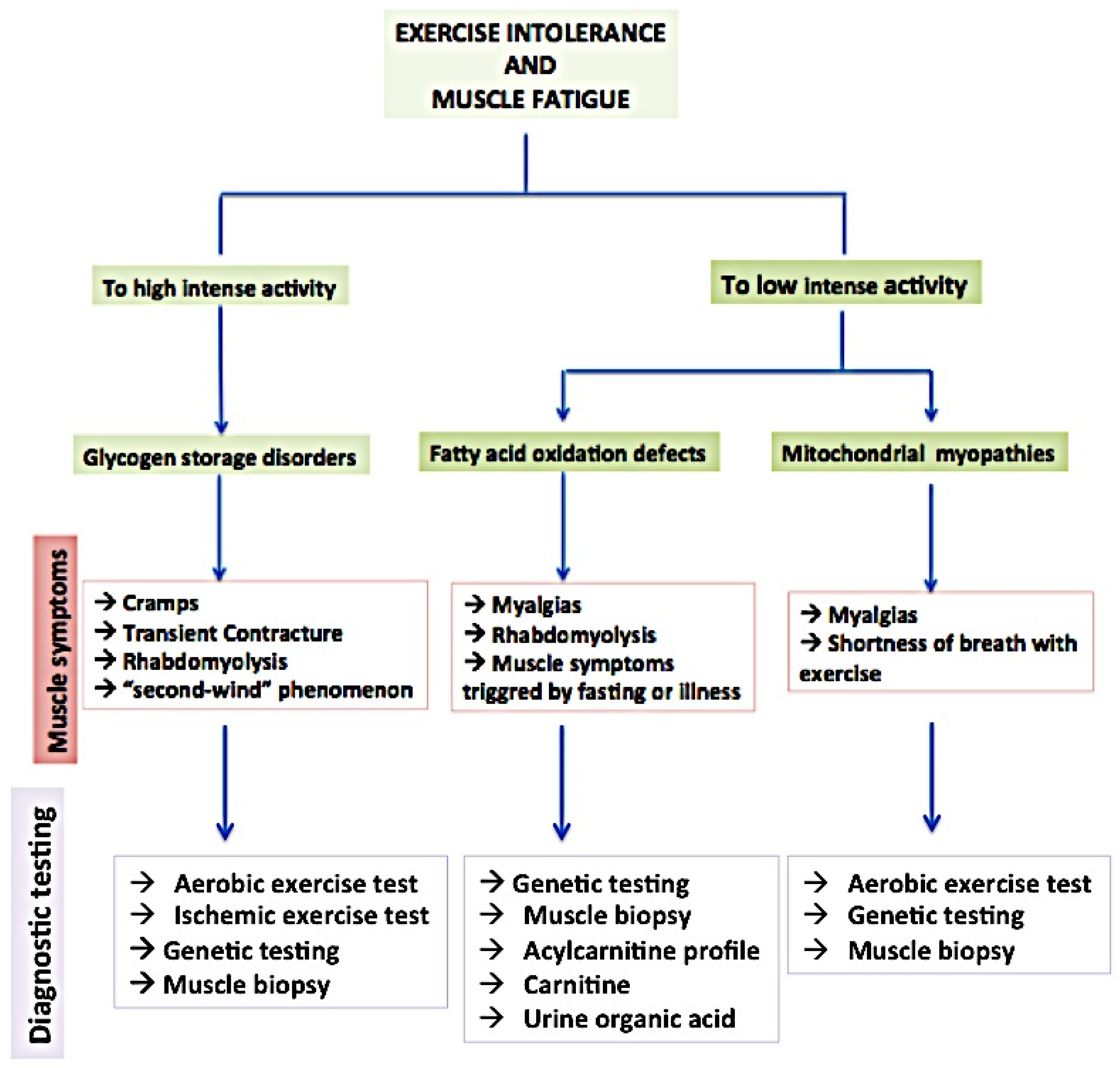 Biomolecules 14 00050 g001