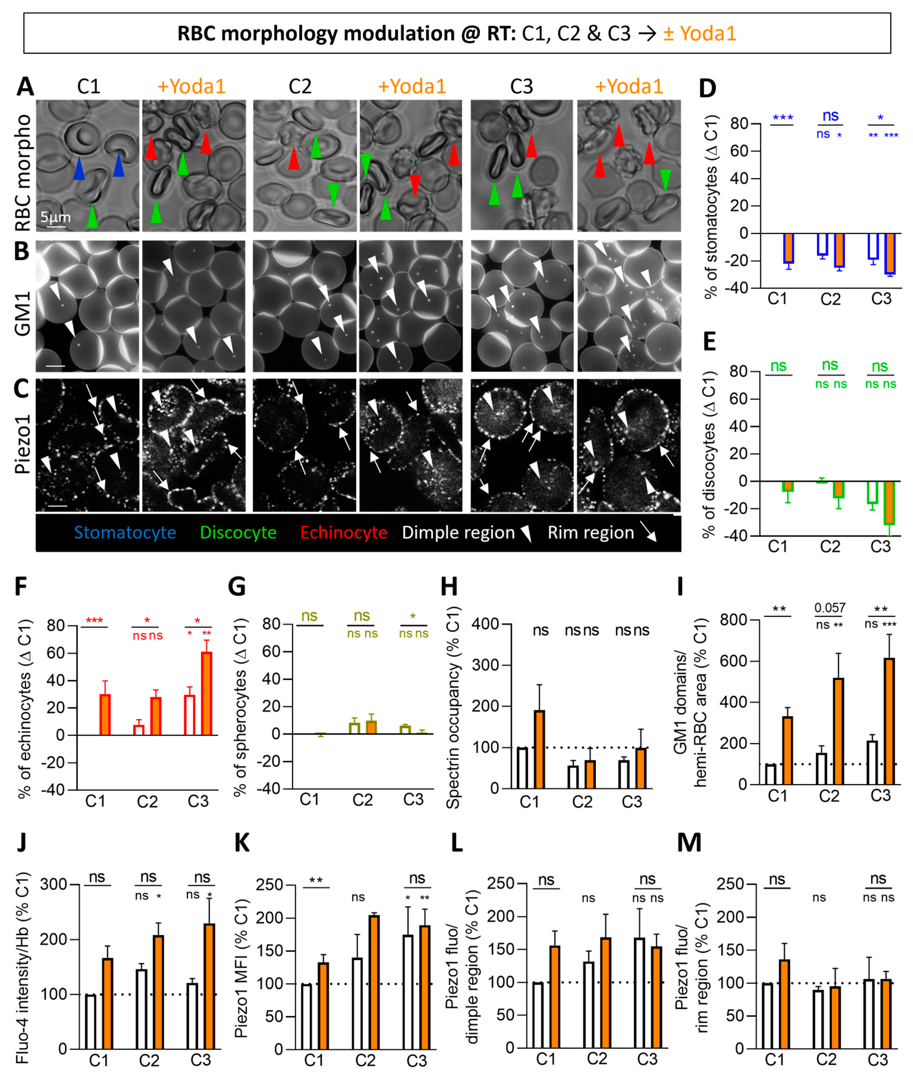Biomolecules 14 00051 g003