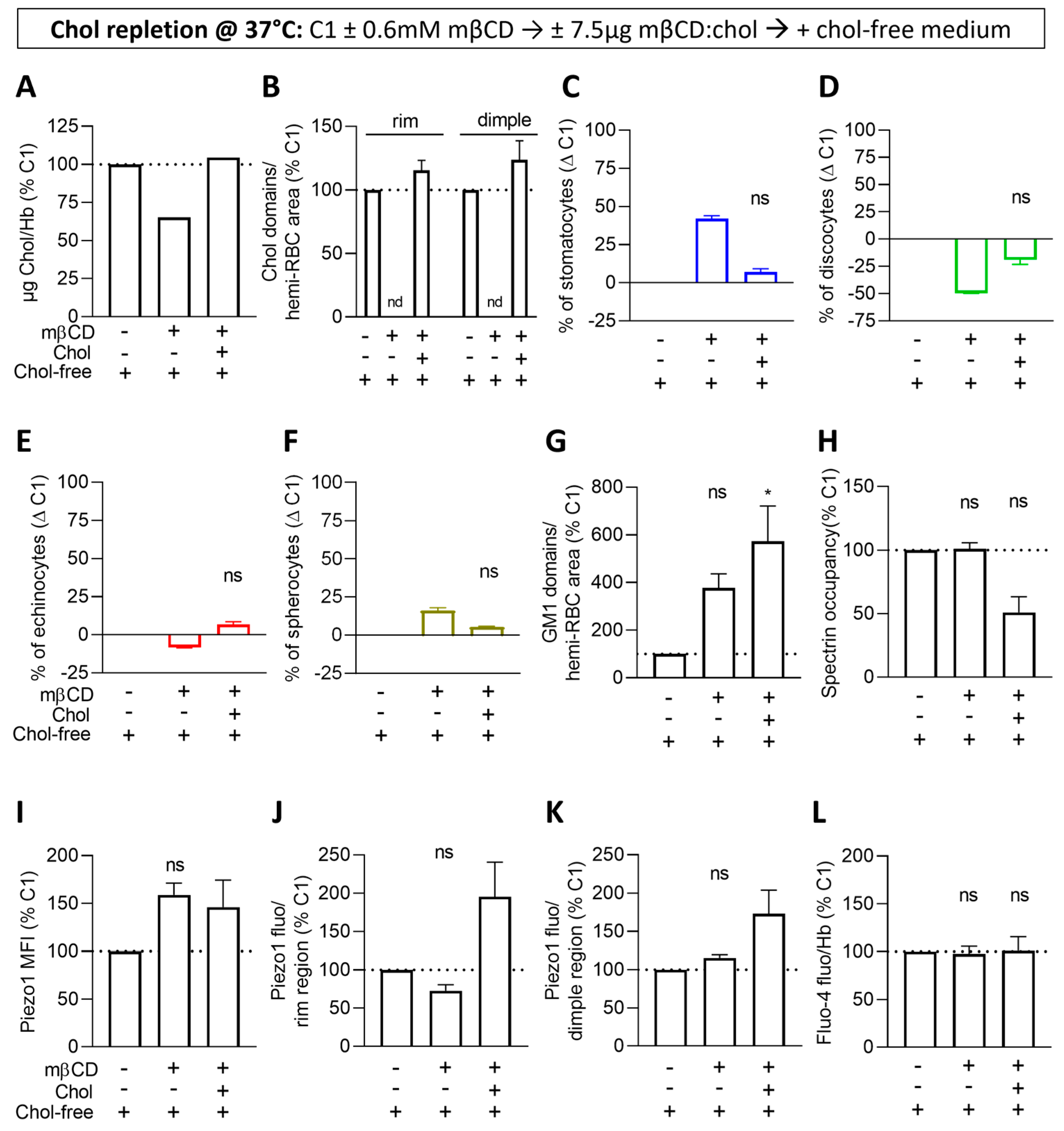 Biomolecules 14 00051 g006