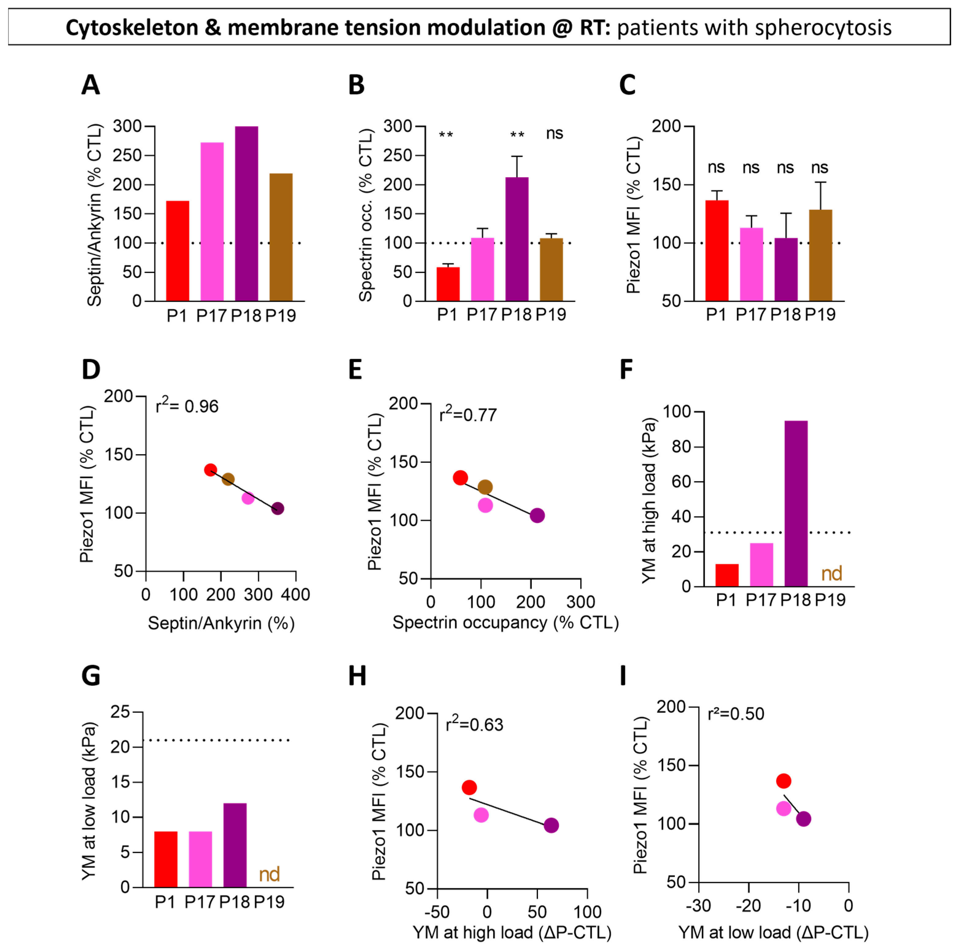 Biomolecules 14 00051 g007