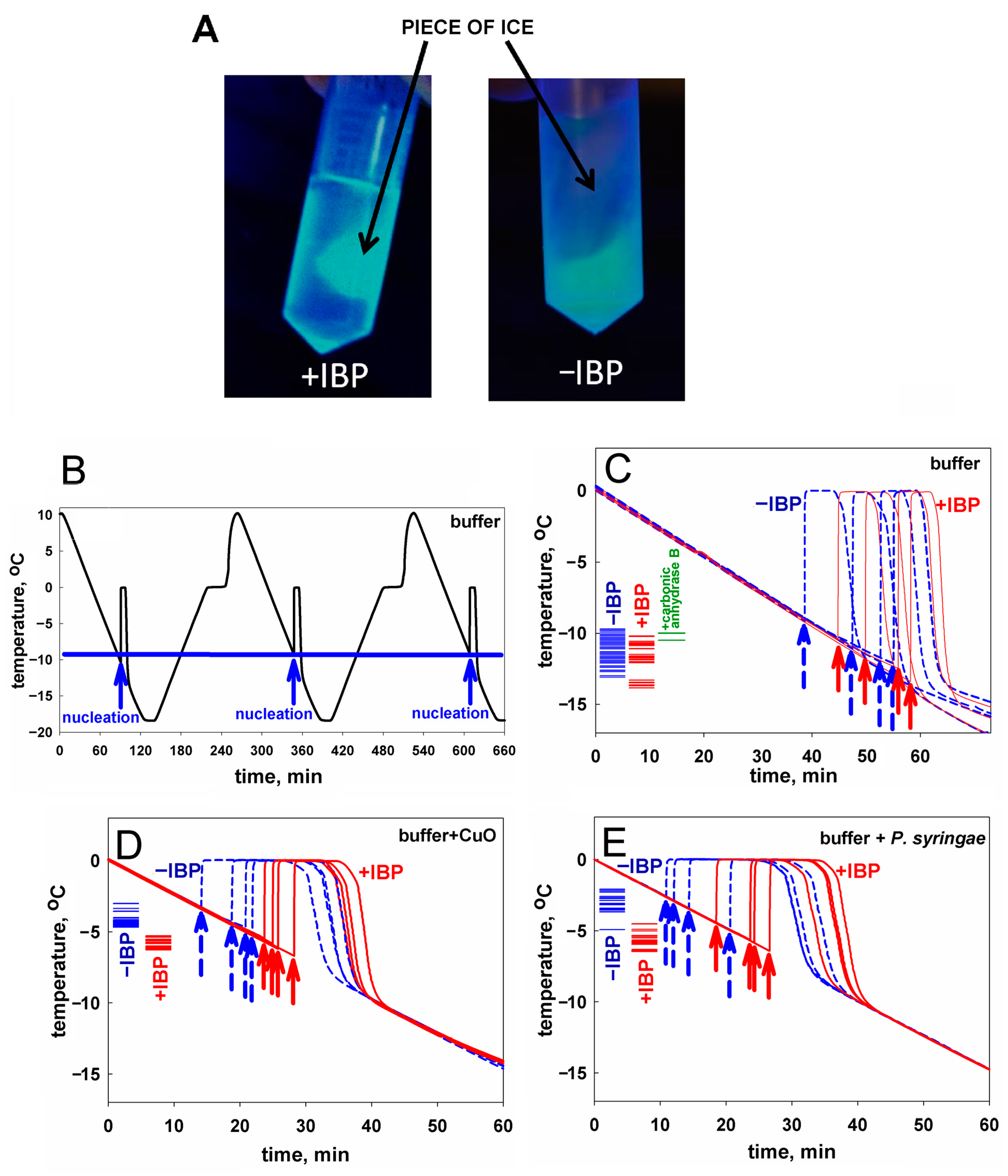 Biomolecules 14 00054 g001 Biomolecules 14 00054 g001