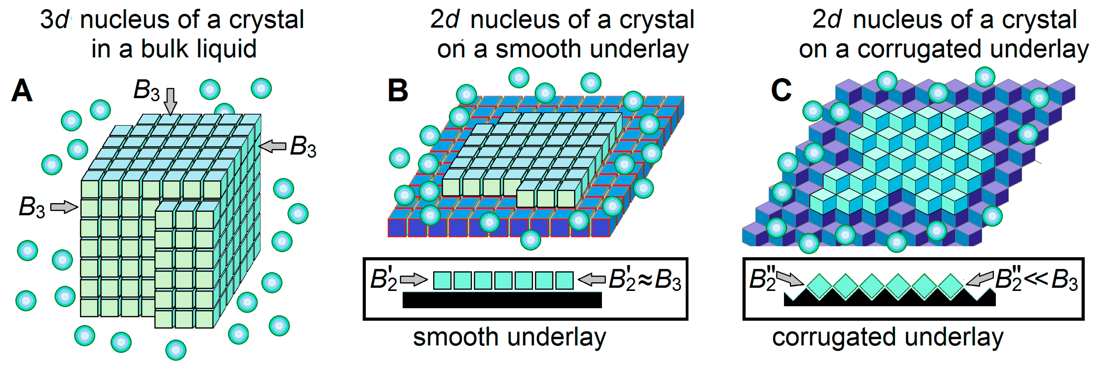 Biomolecules 14 00054 g004 Biomolecules 14 00054 g004