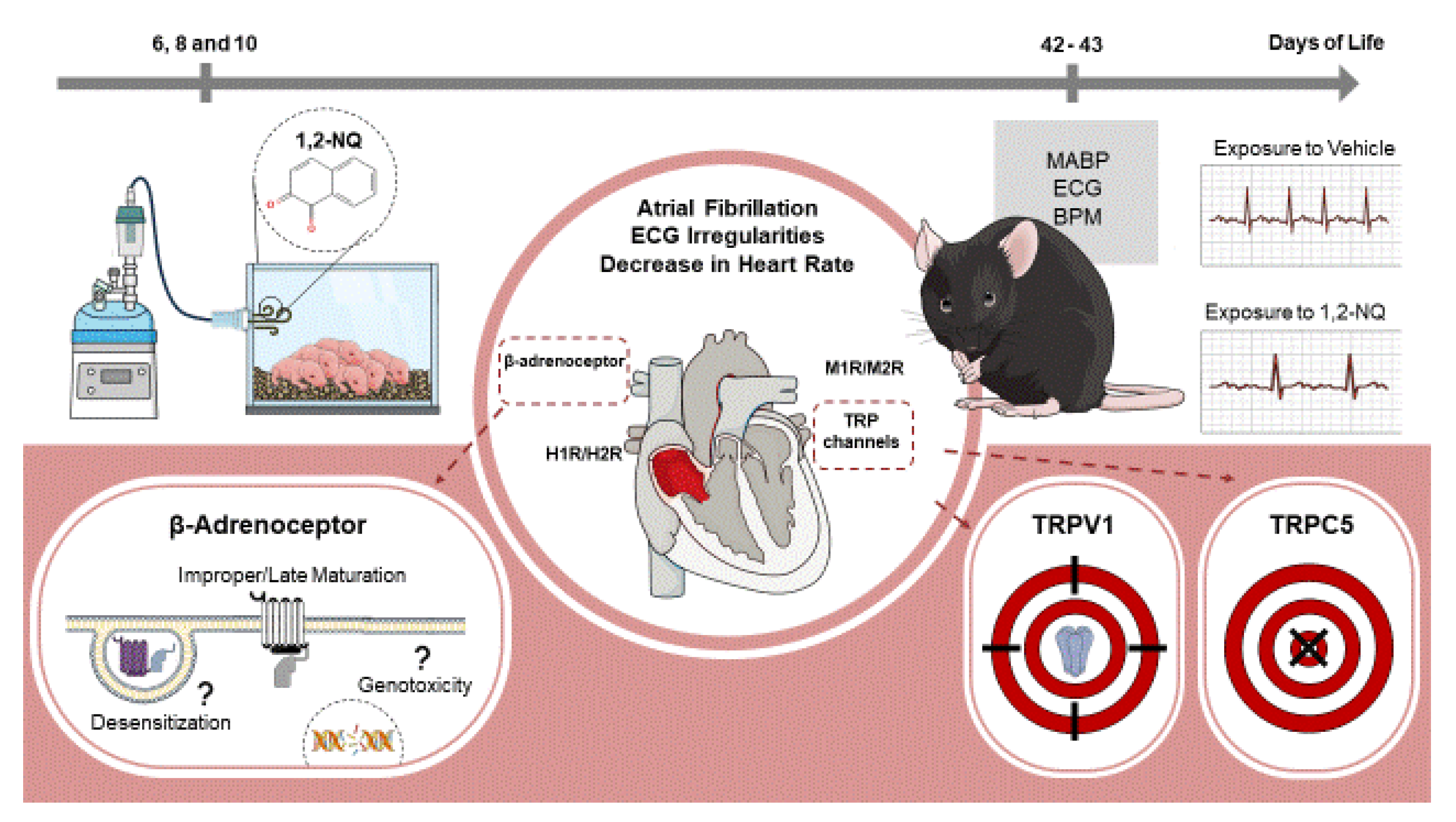 Biomolecules 14 00057 g009 Biomolecules 14 00057 g009