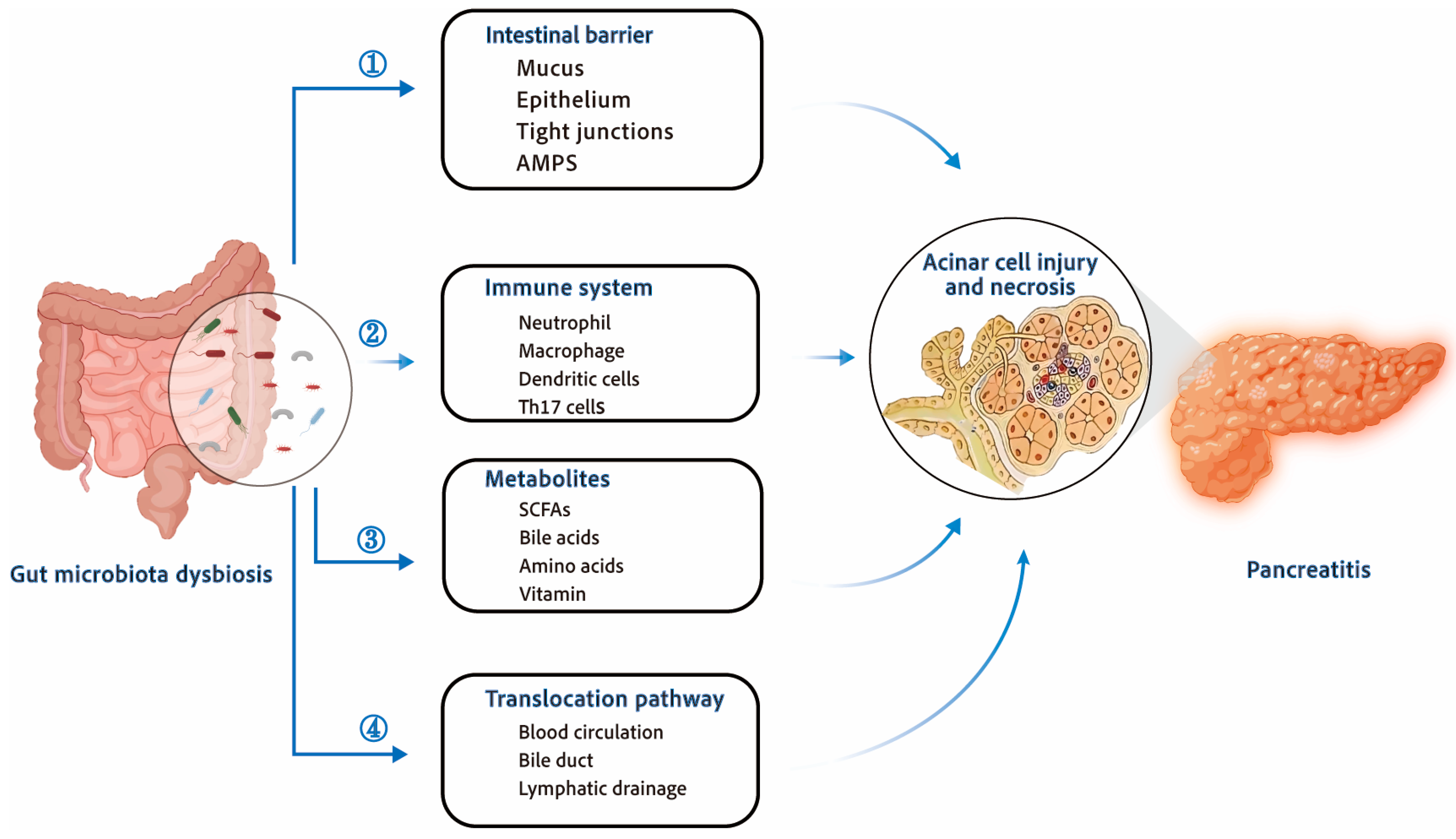 Biomolecules 14 00059 g001