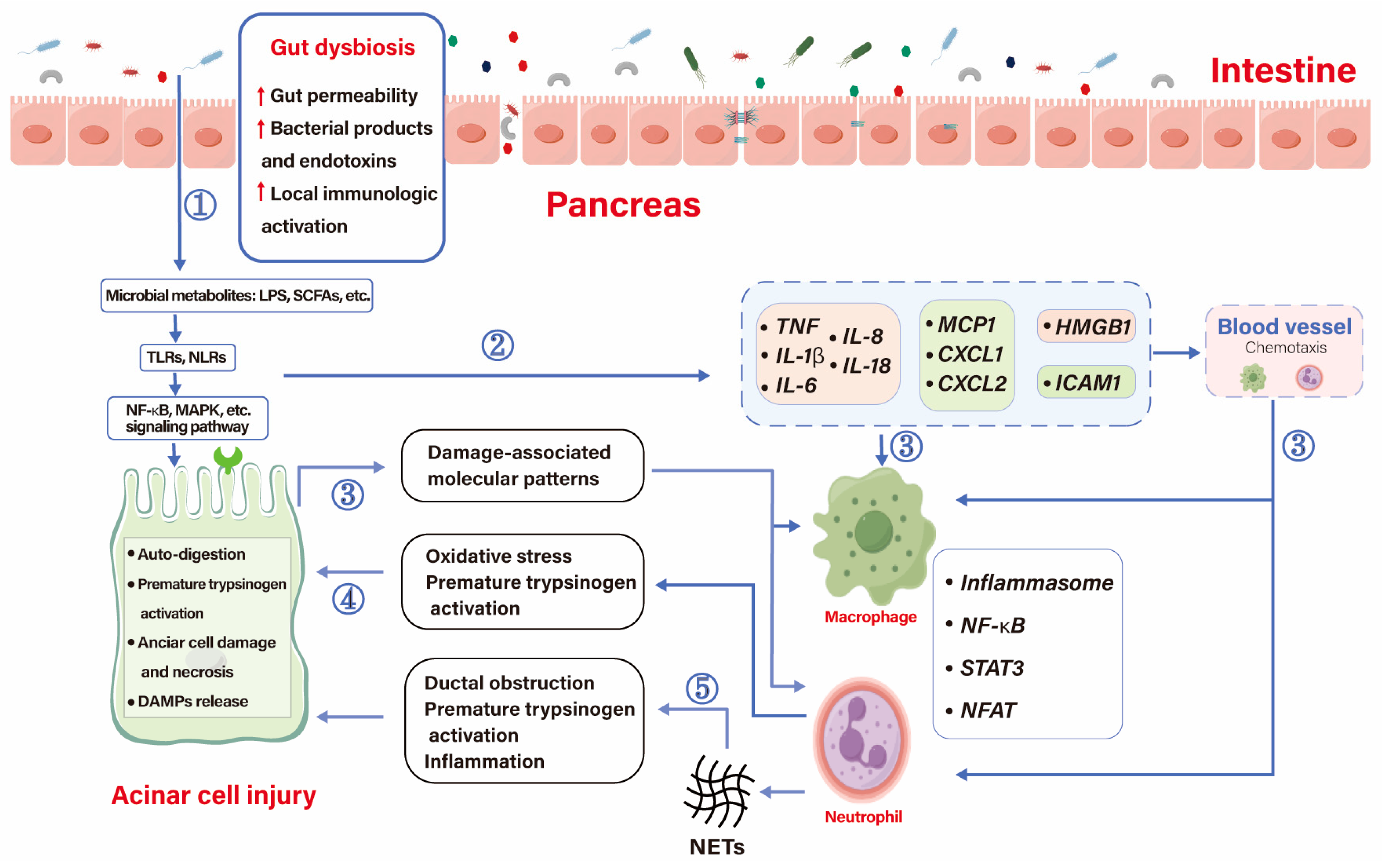 Biomolecules 14 00059 g002