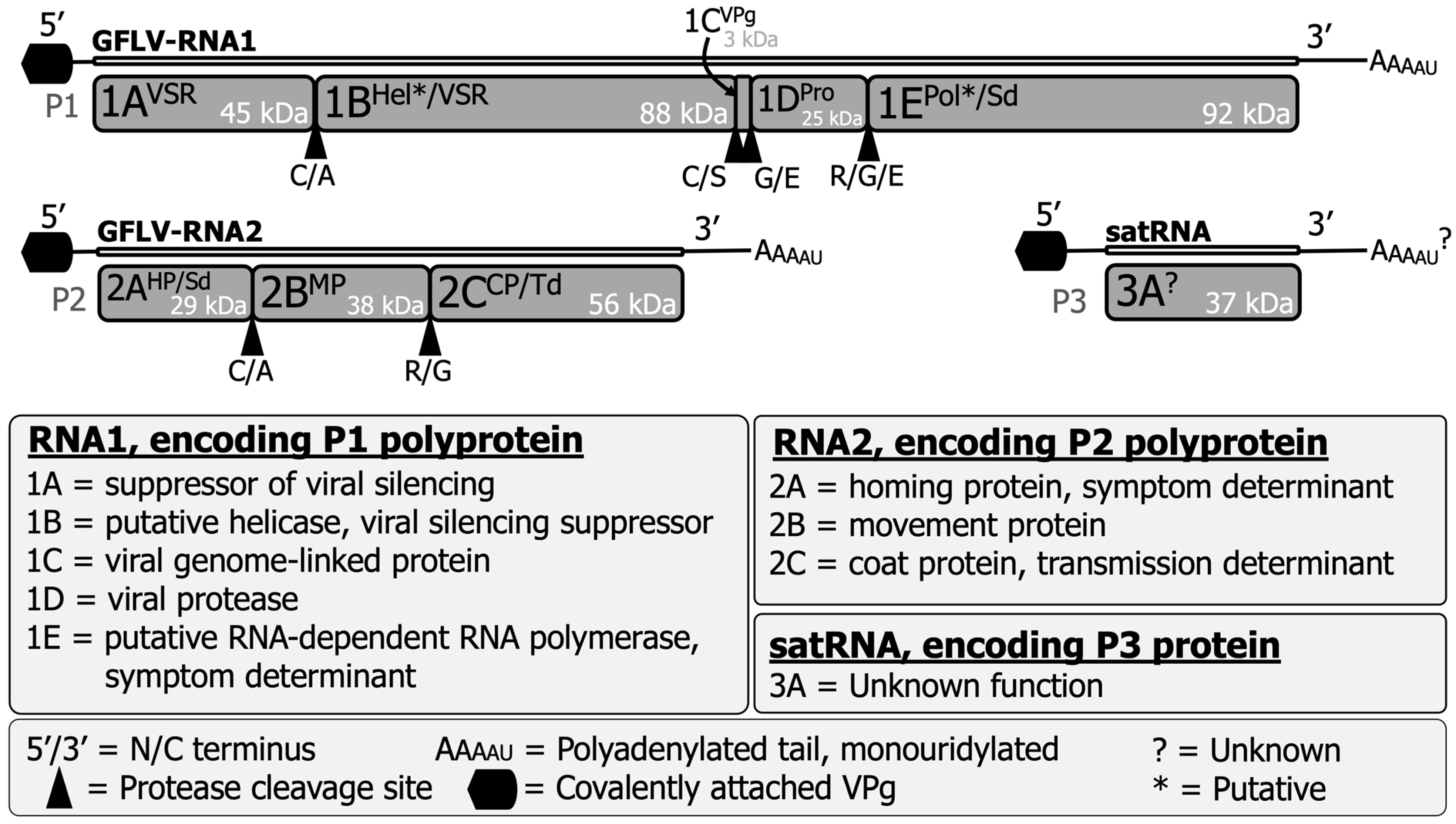 Biomolecules 14 00062 g001 Biomolecules 14 00062 g001