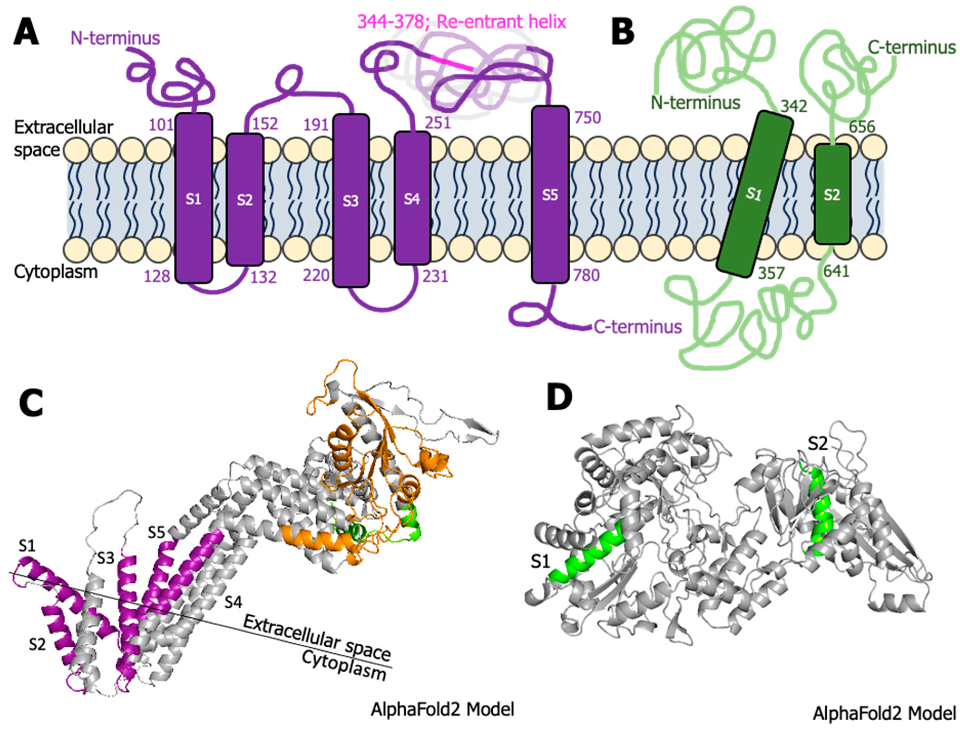 Biomolecules 14 00062 g005 Biomolecules 14 00062 g005