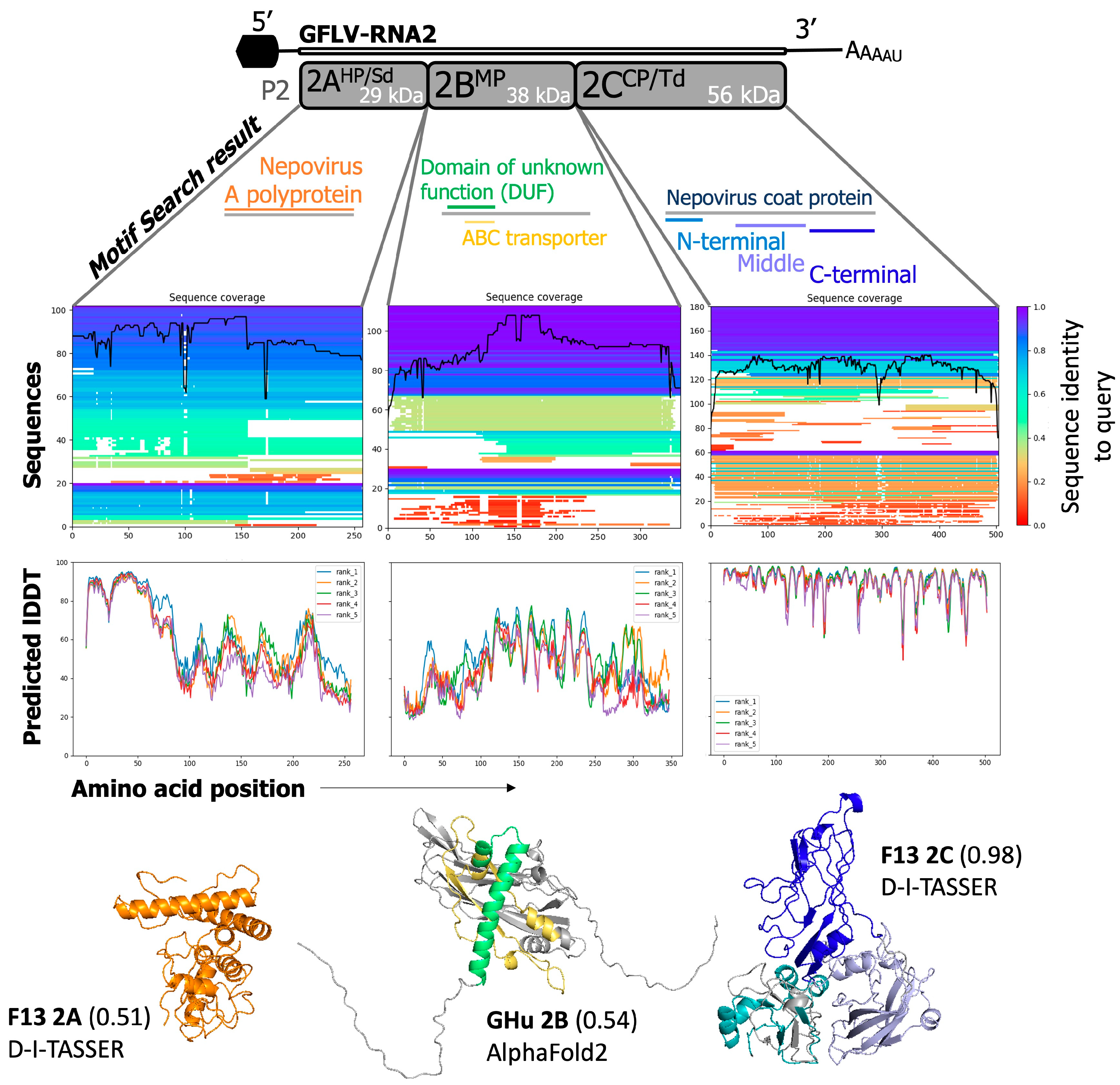 Biomolecules 14 00062 g007 Biomolecules 14 00062 g007