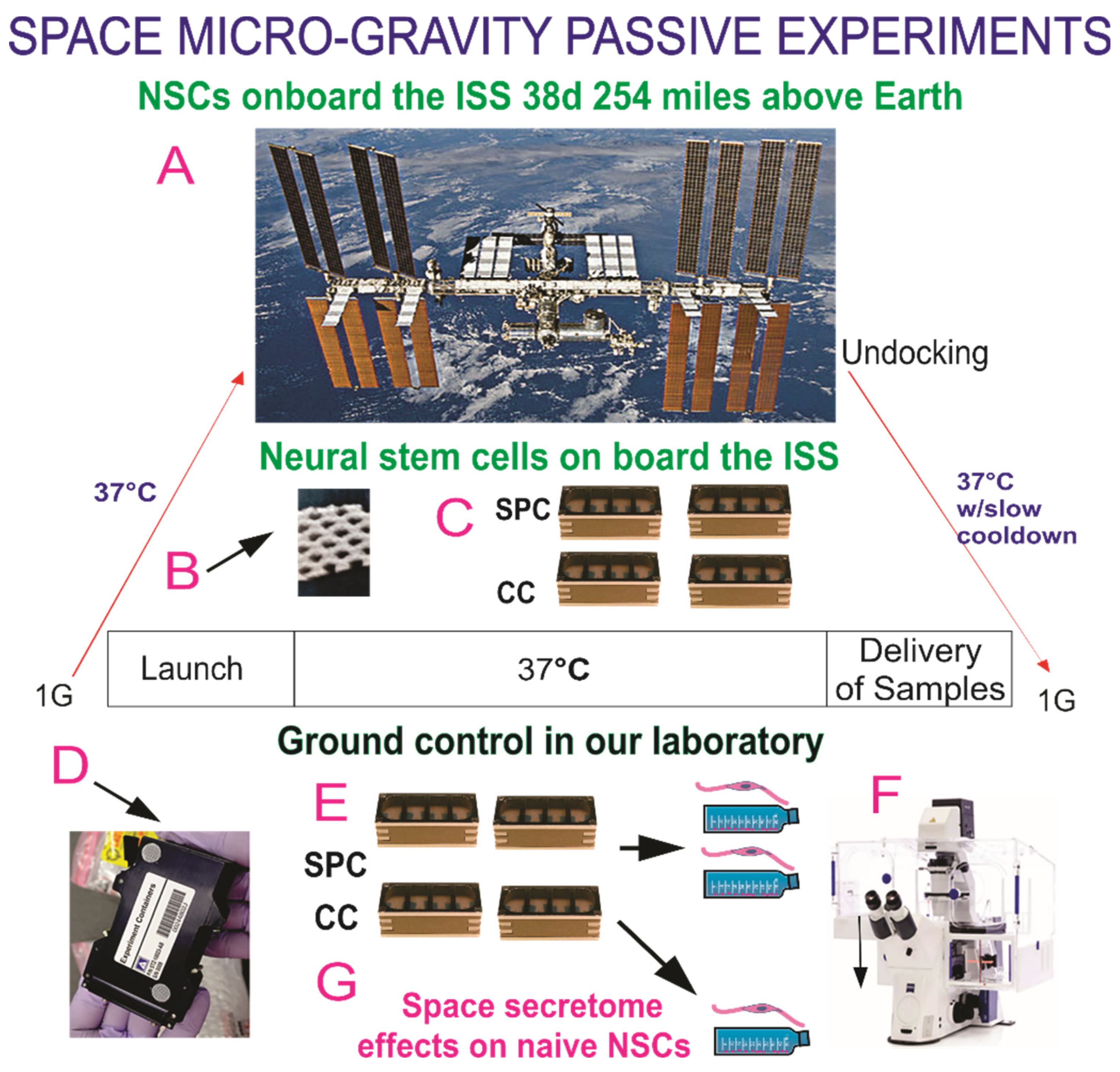 Biomolecules 14 00065 g001