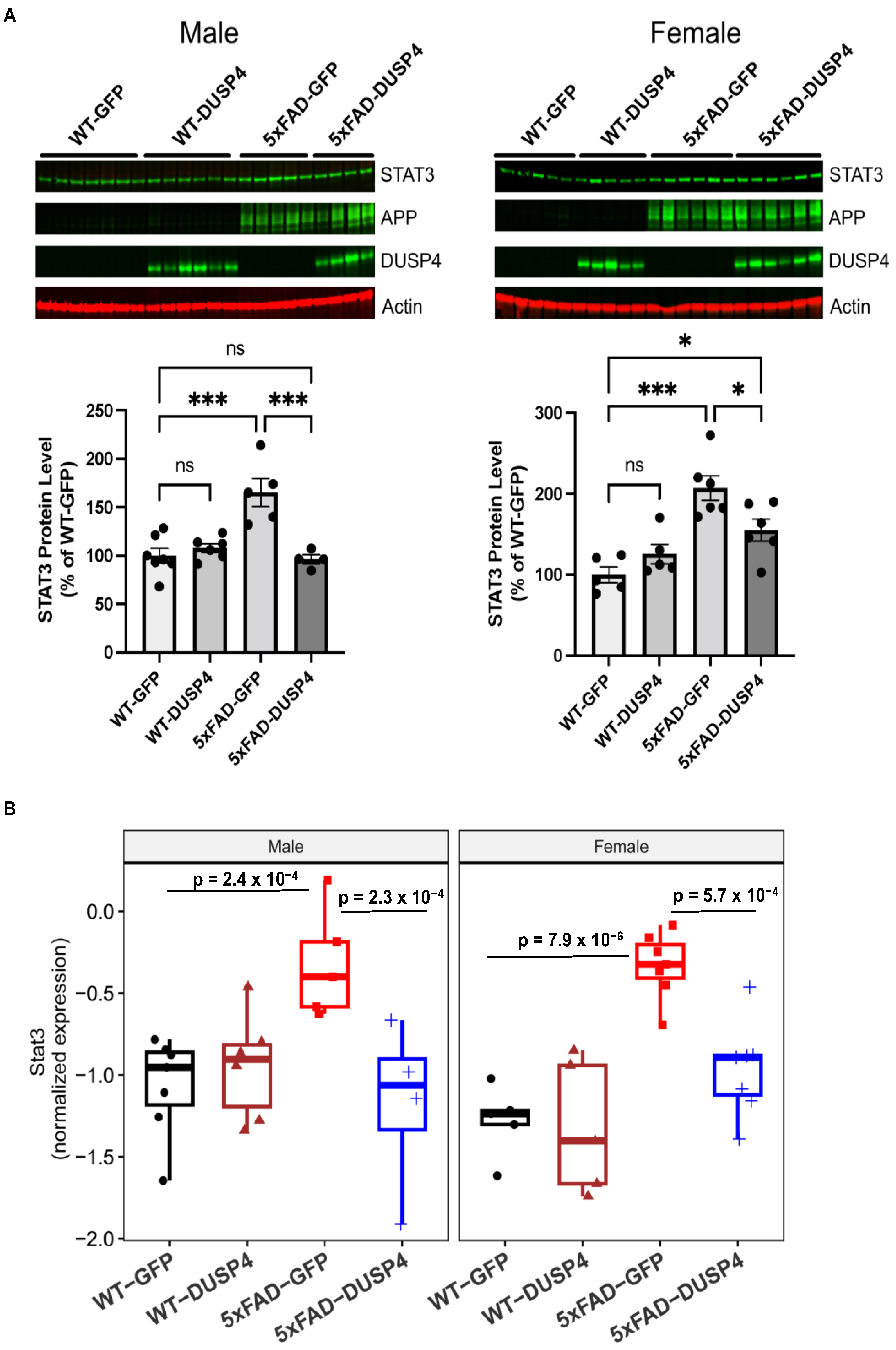 Biomolecules 14 00066 g004