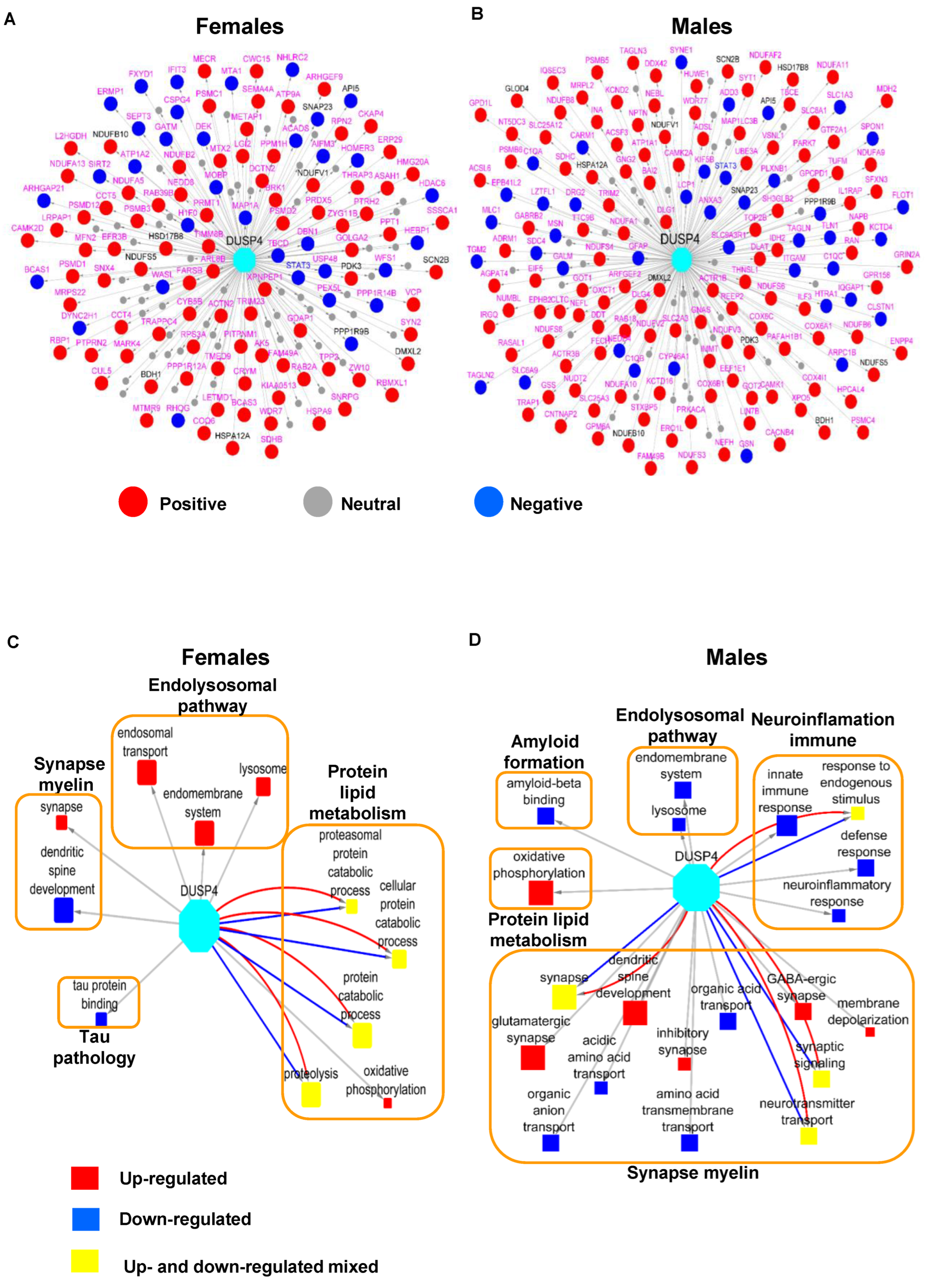 Biomolecules 14 00066 g006