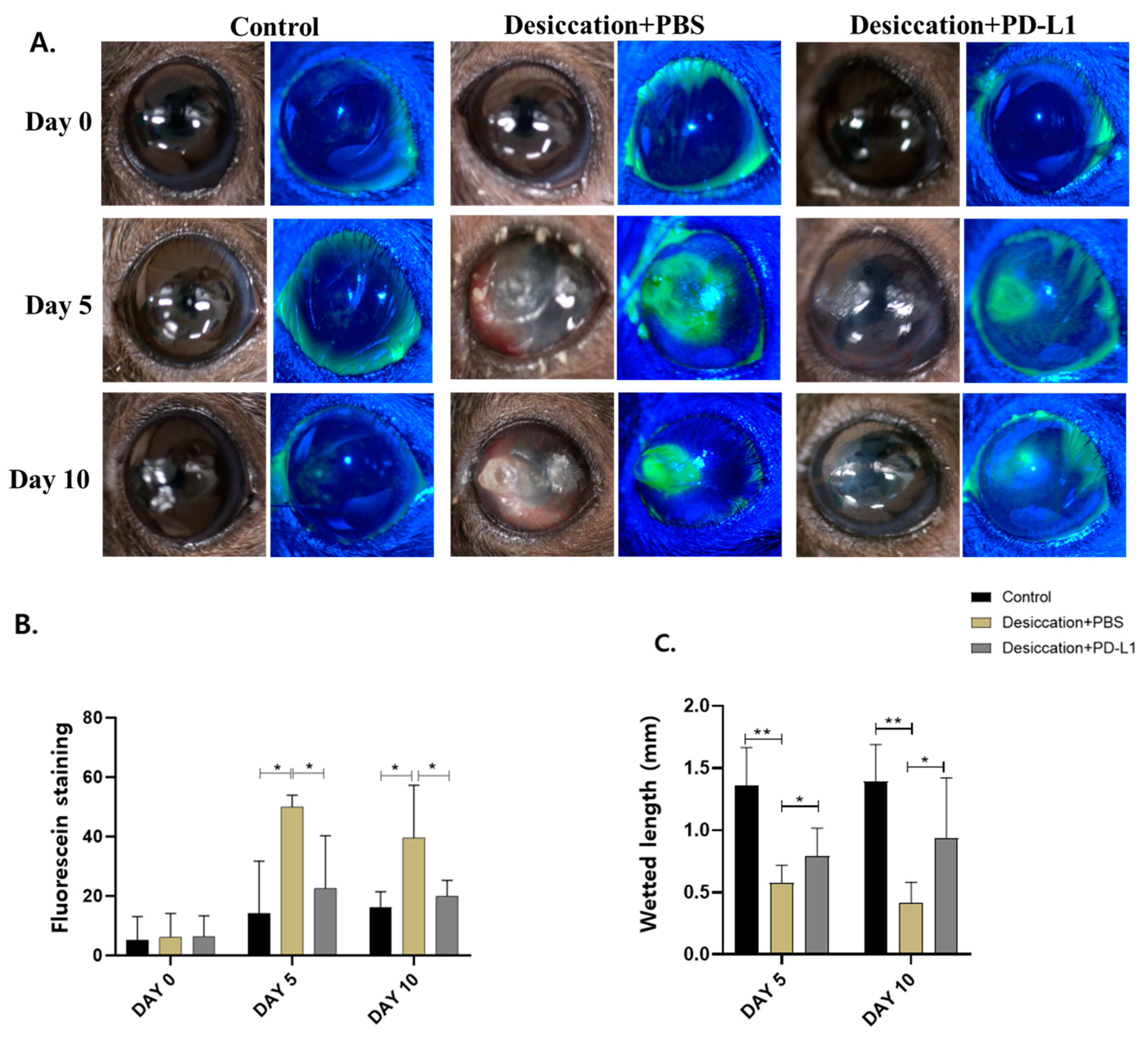Biomolecules 14 00068 g001