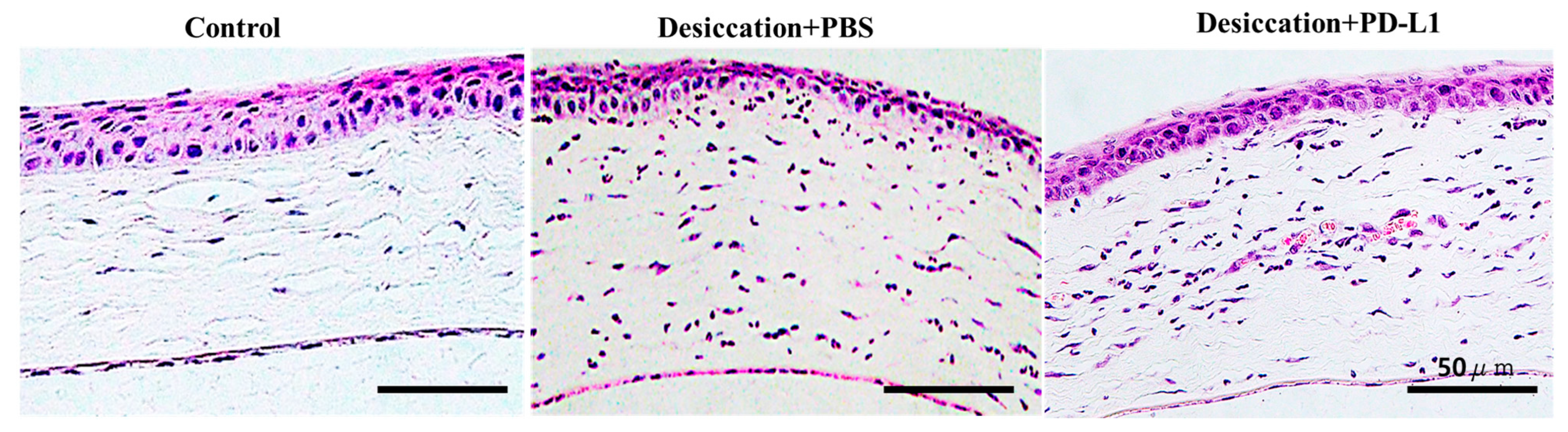 Biomolecules 14 00068 g002